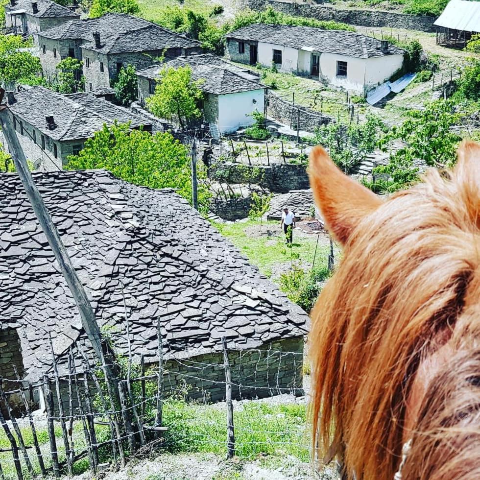 Funky Boutique Hotel & Adventures
