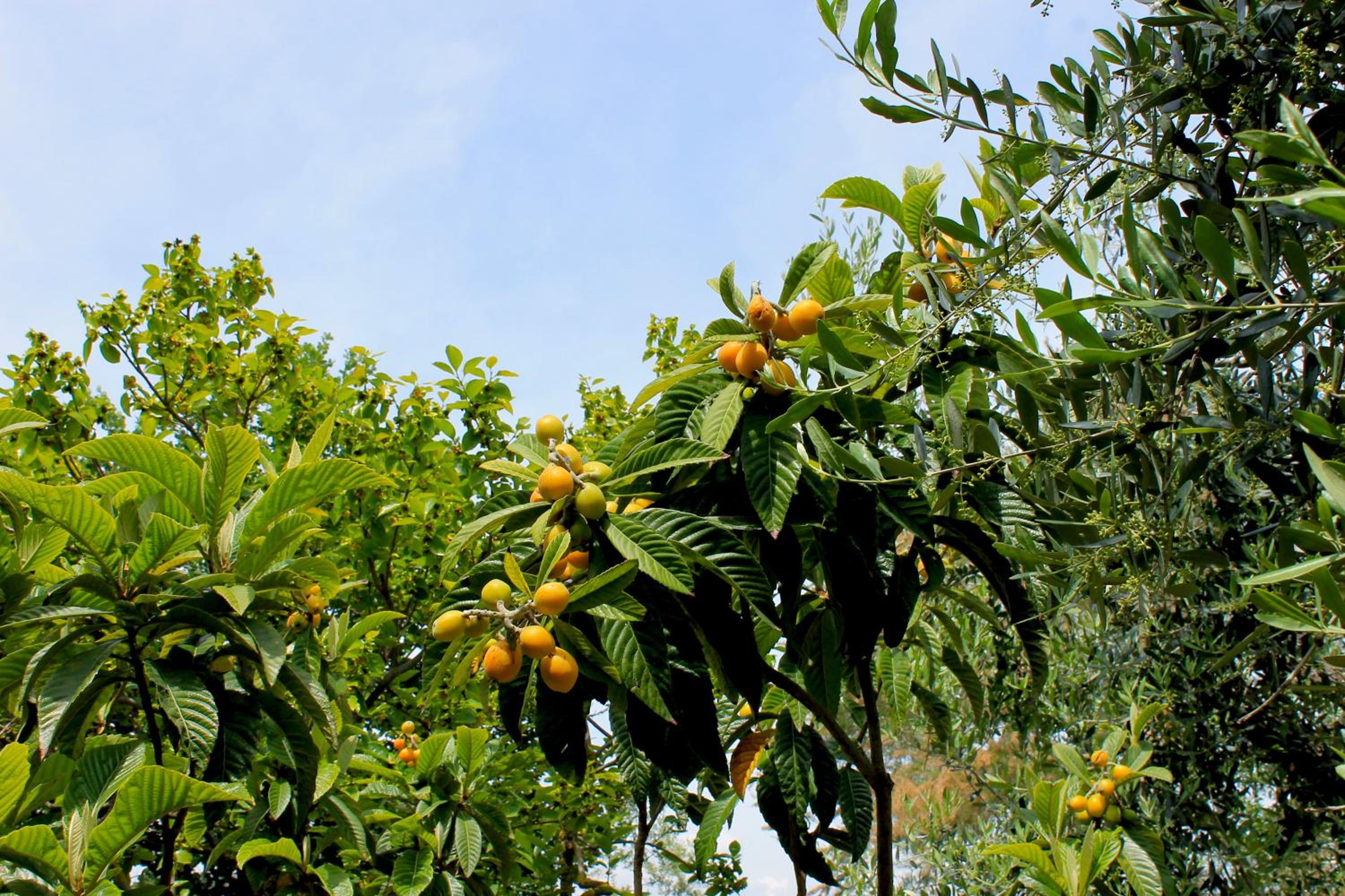Photo 47