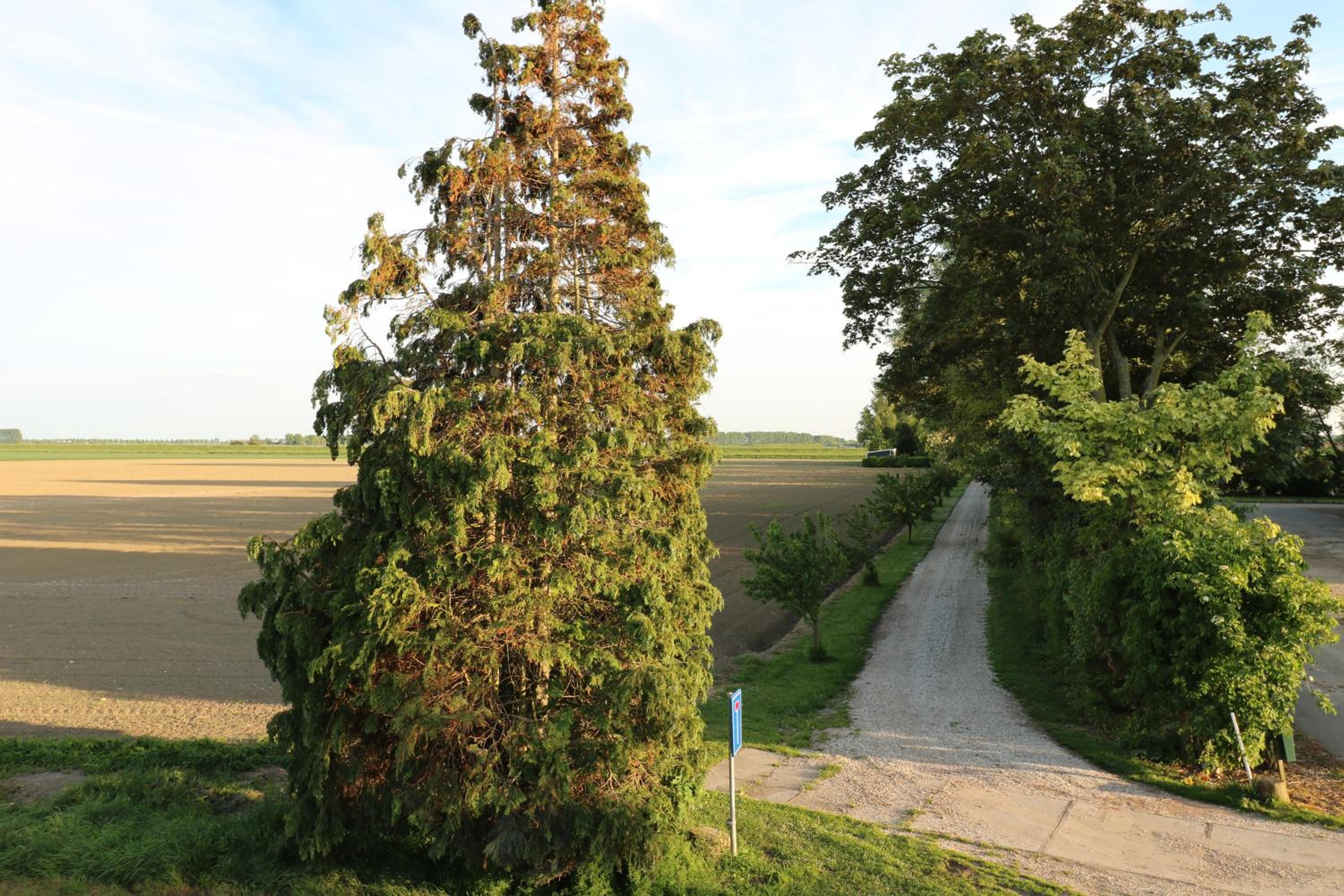 Waegen Uus view 5