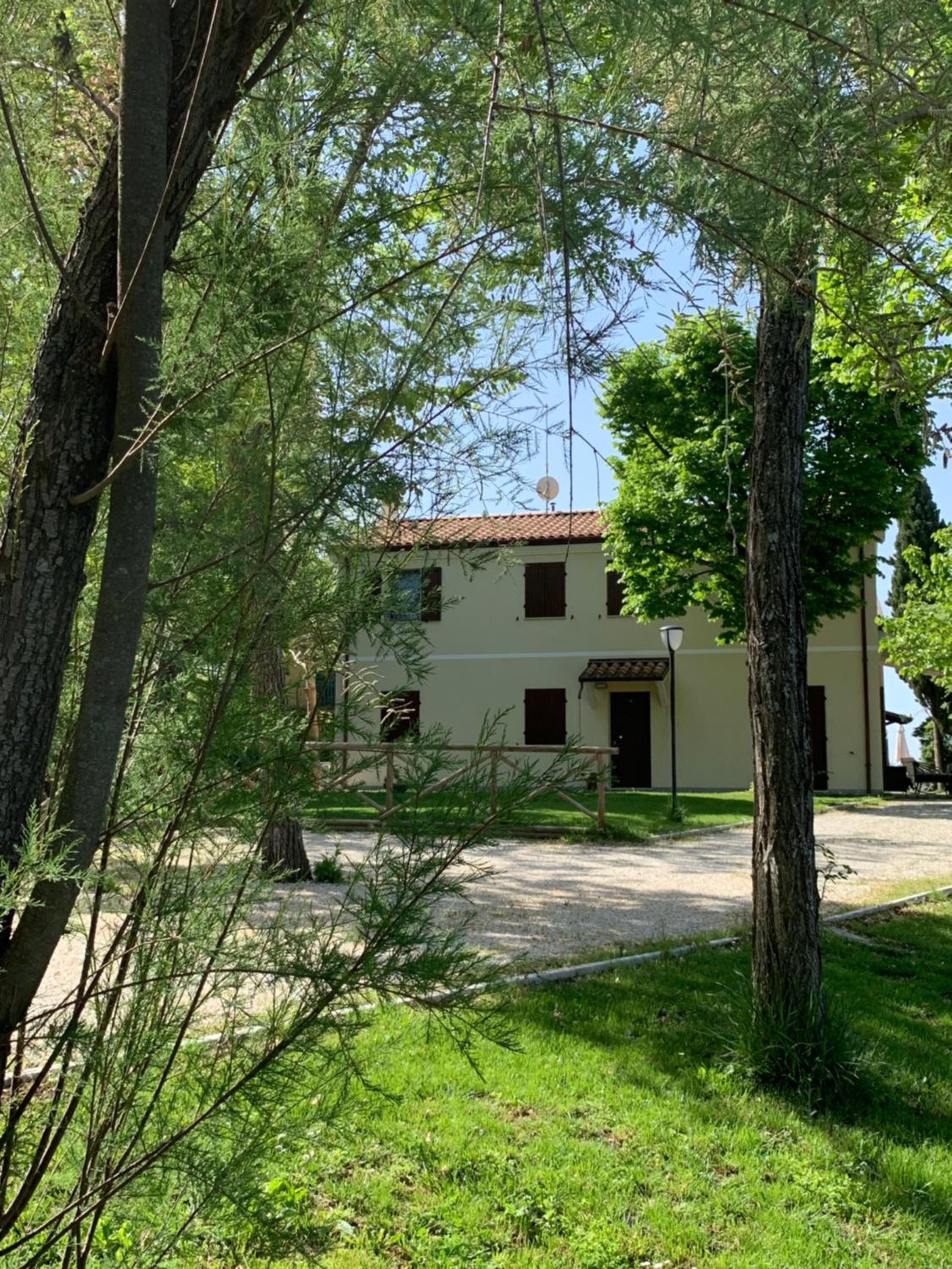 Il Lauro