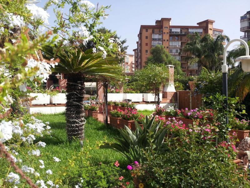 Oasis Green Villa view 5