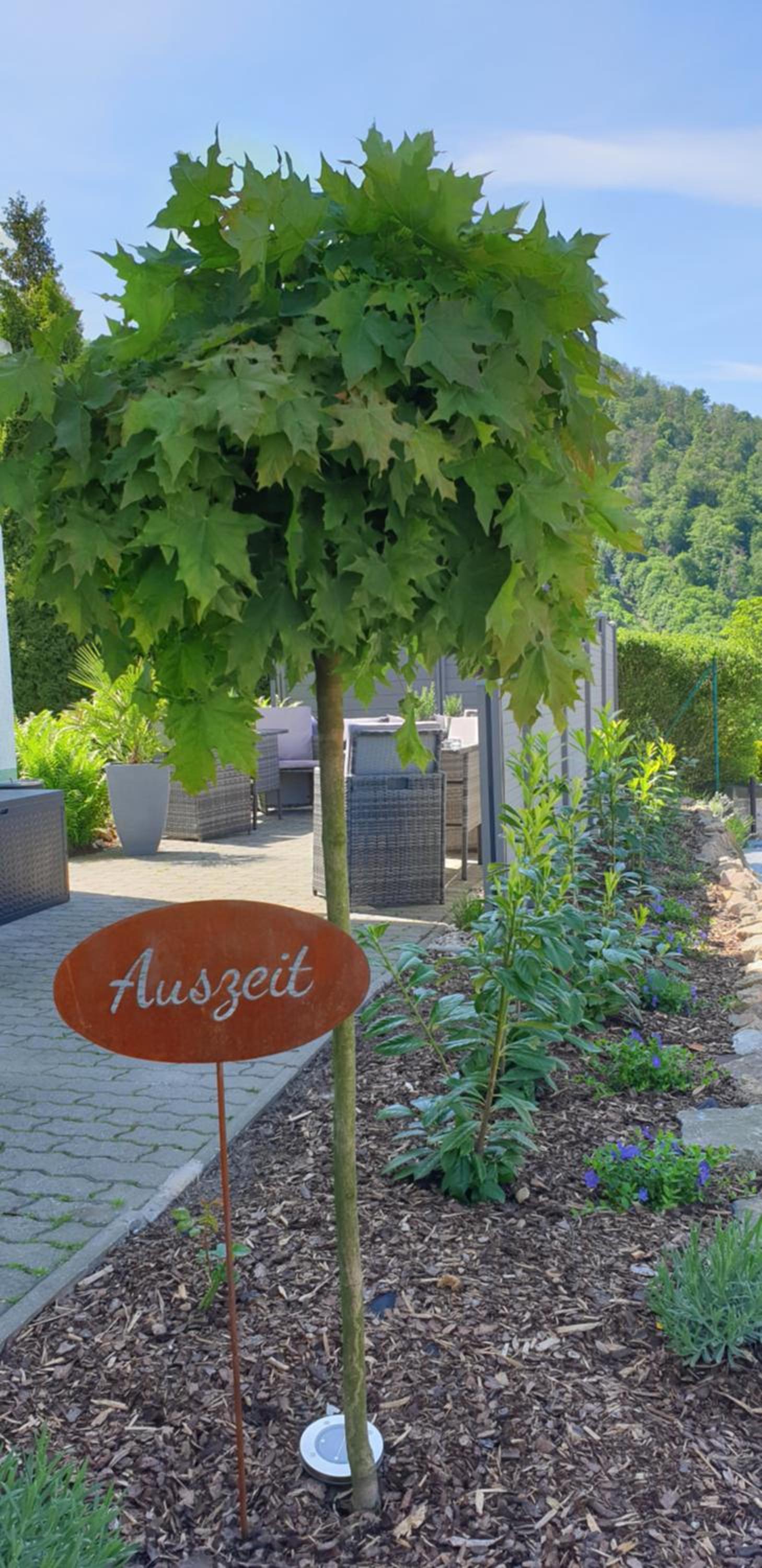 Hotel Garni Haus Sonneneck