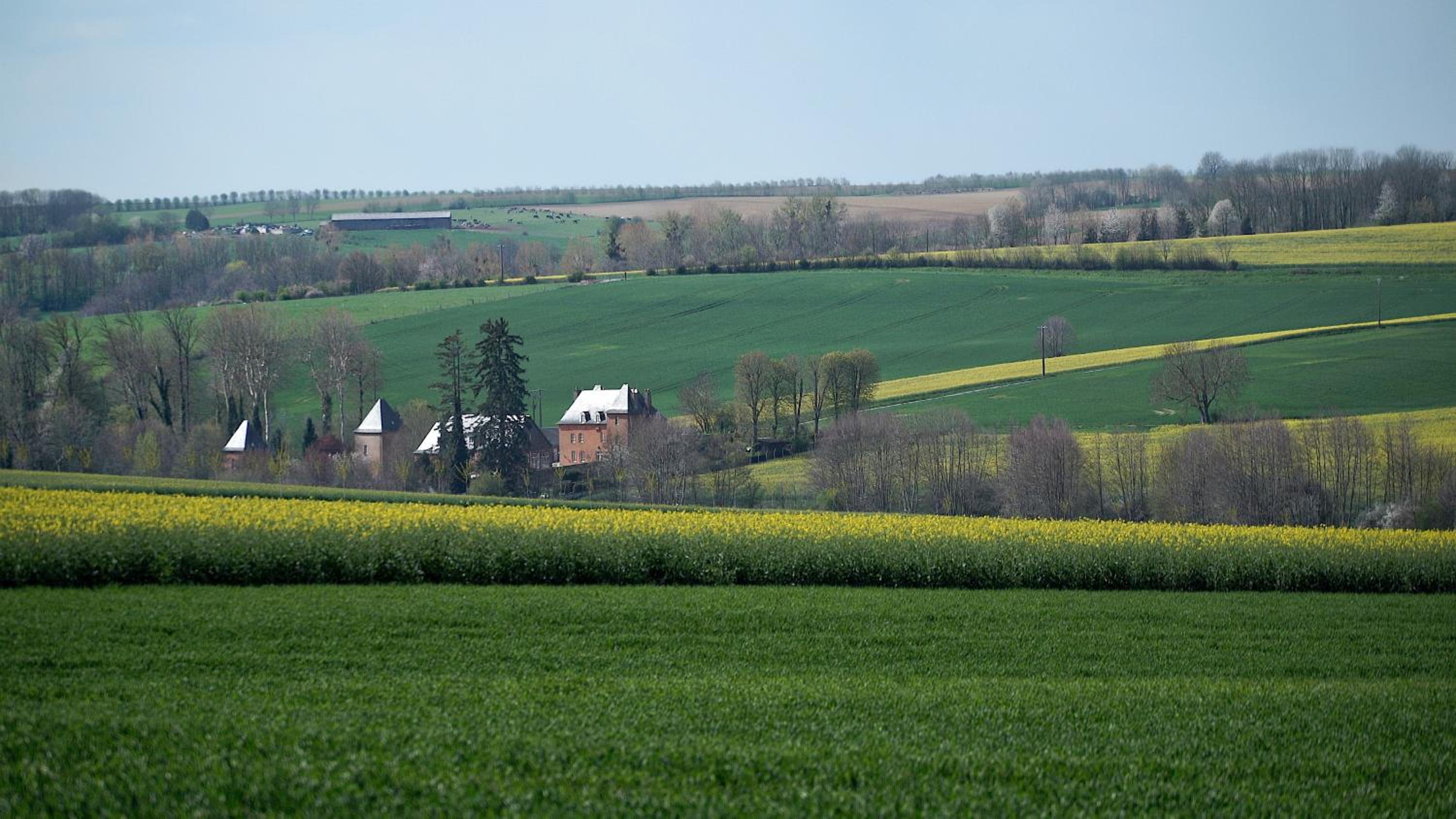 Photo 43
