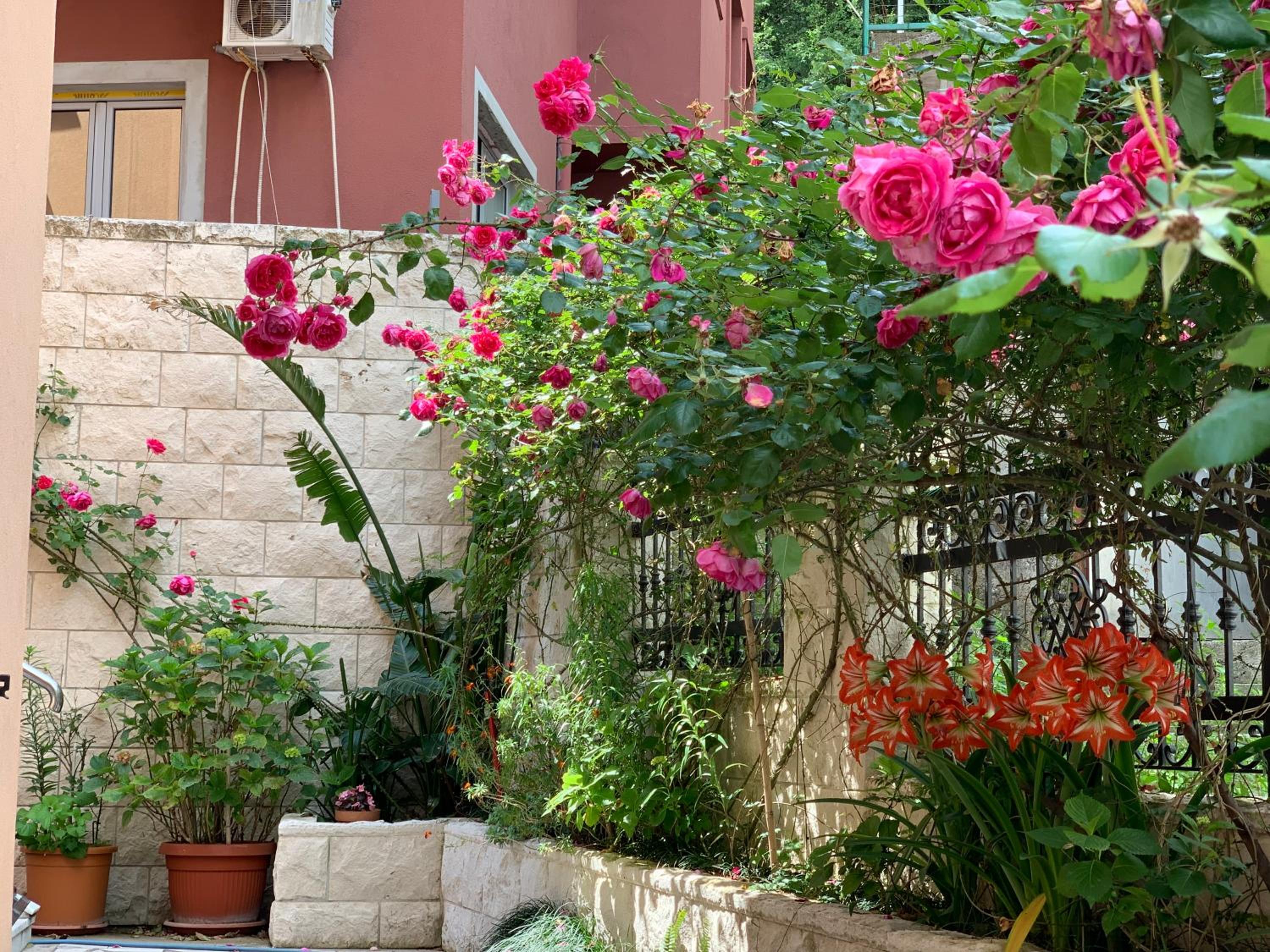 Apartments Zvicer - Milica