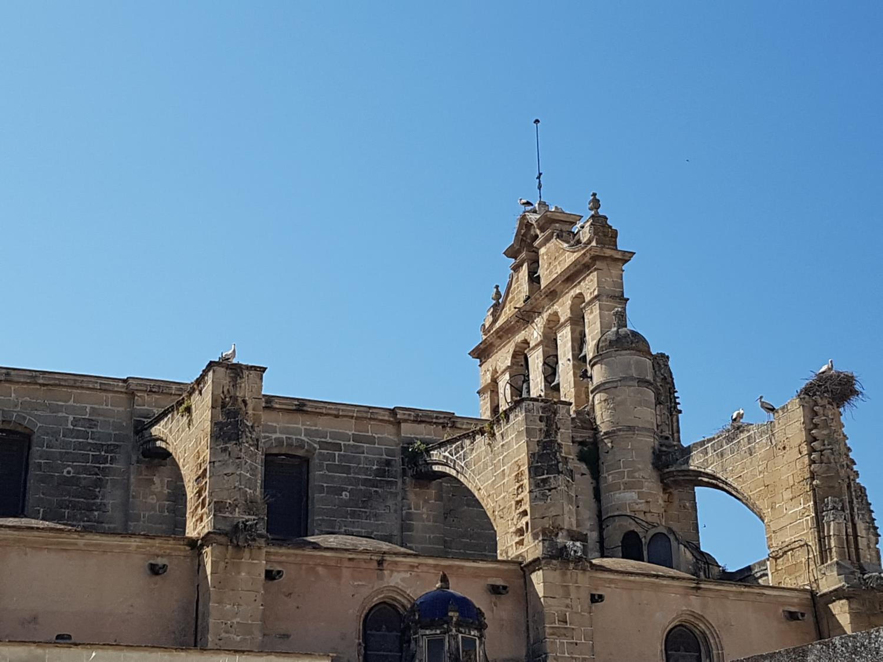 Azvalia - Casa Palacio centro del Puerto view 5