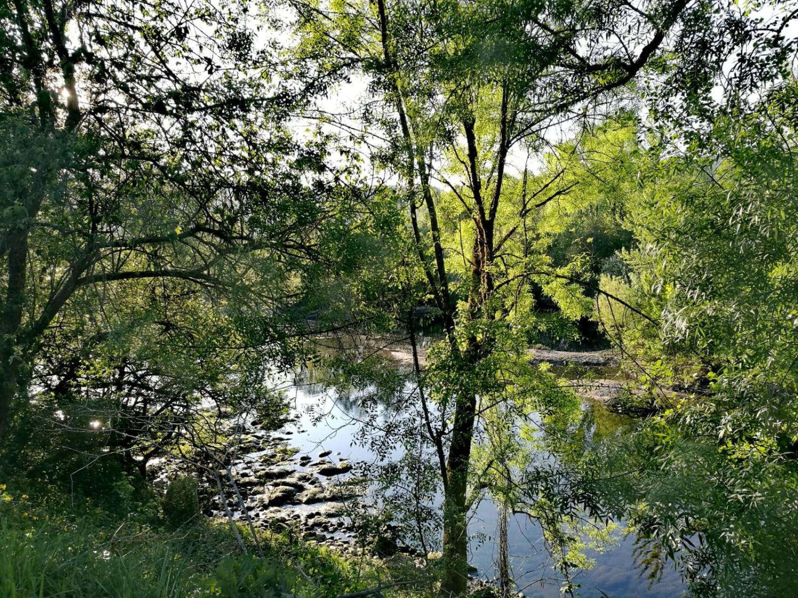 Photo 33