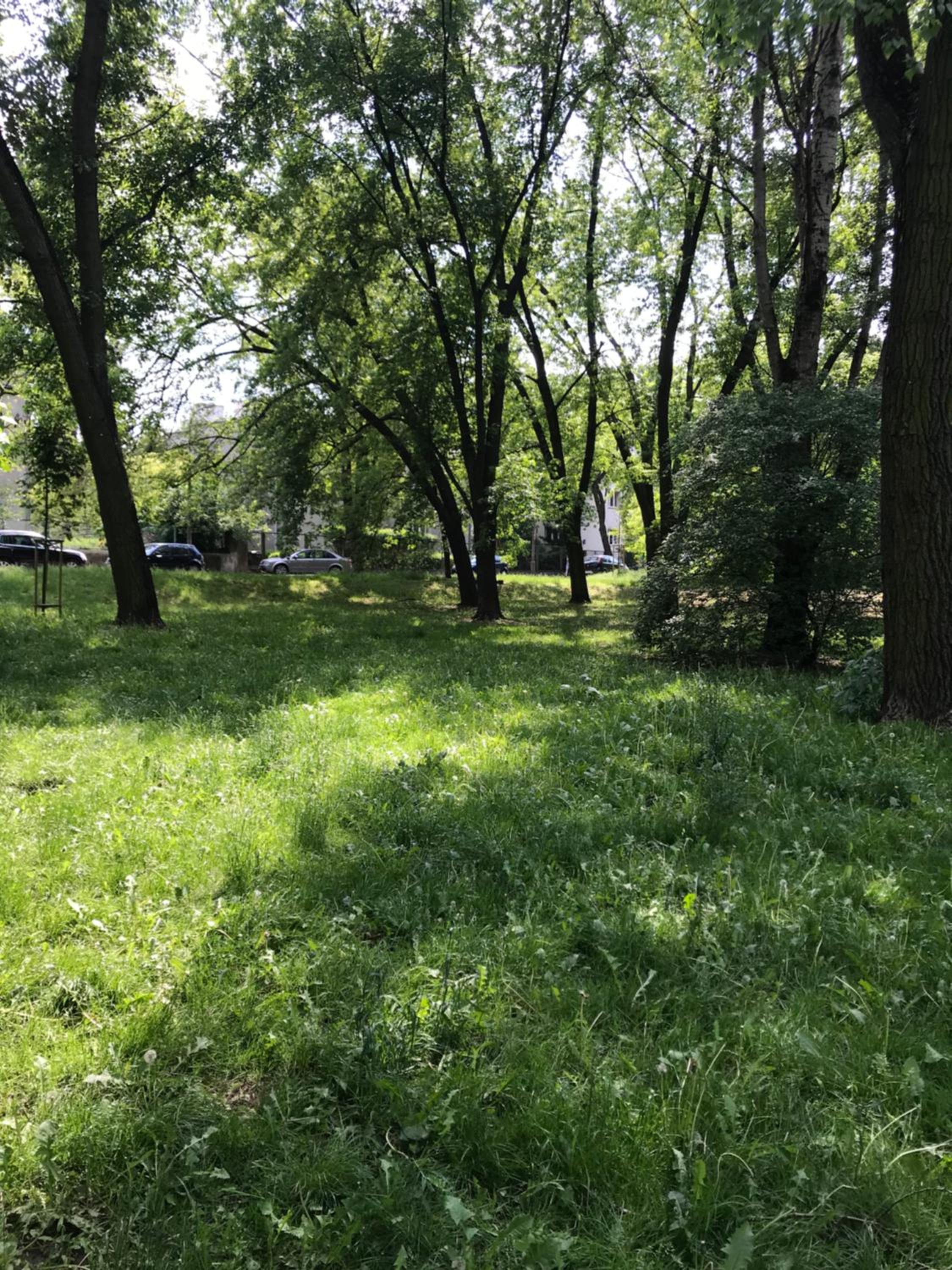 Photo 31