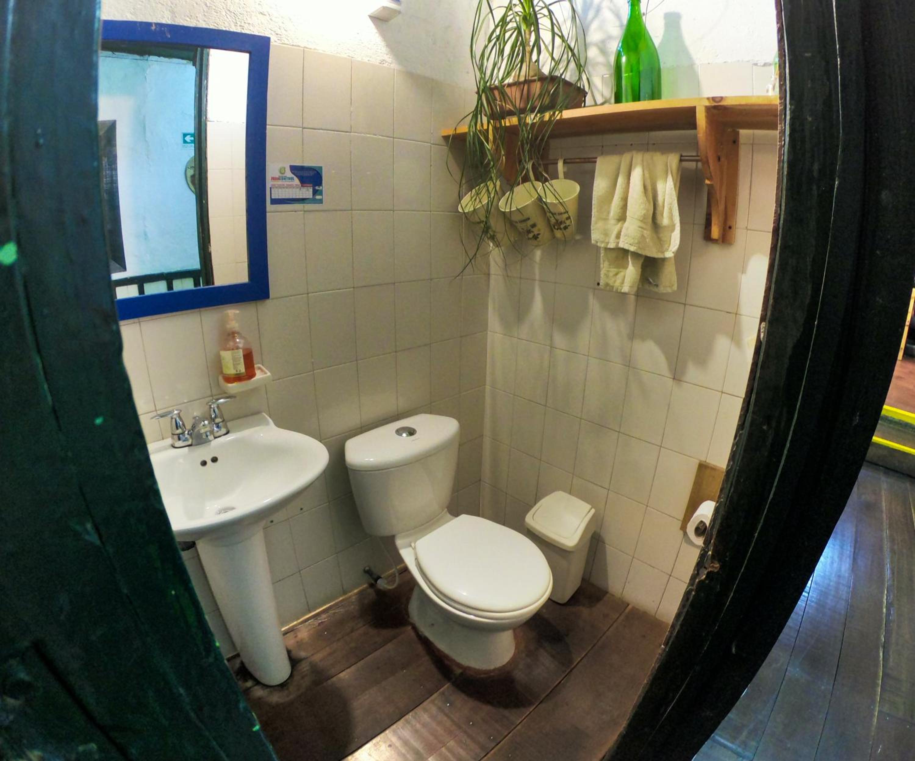 Photo 10