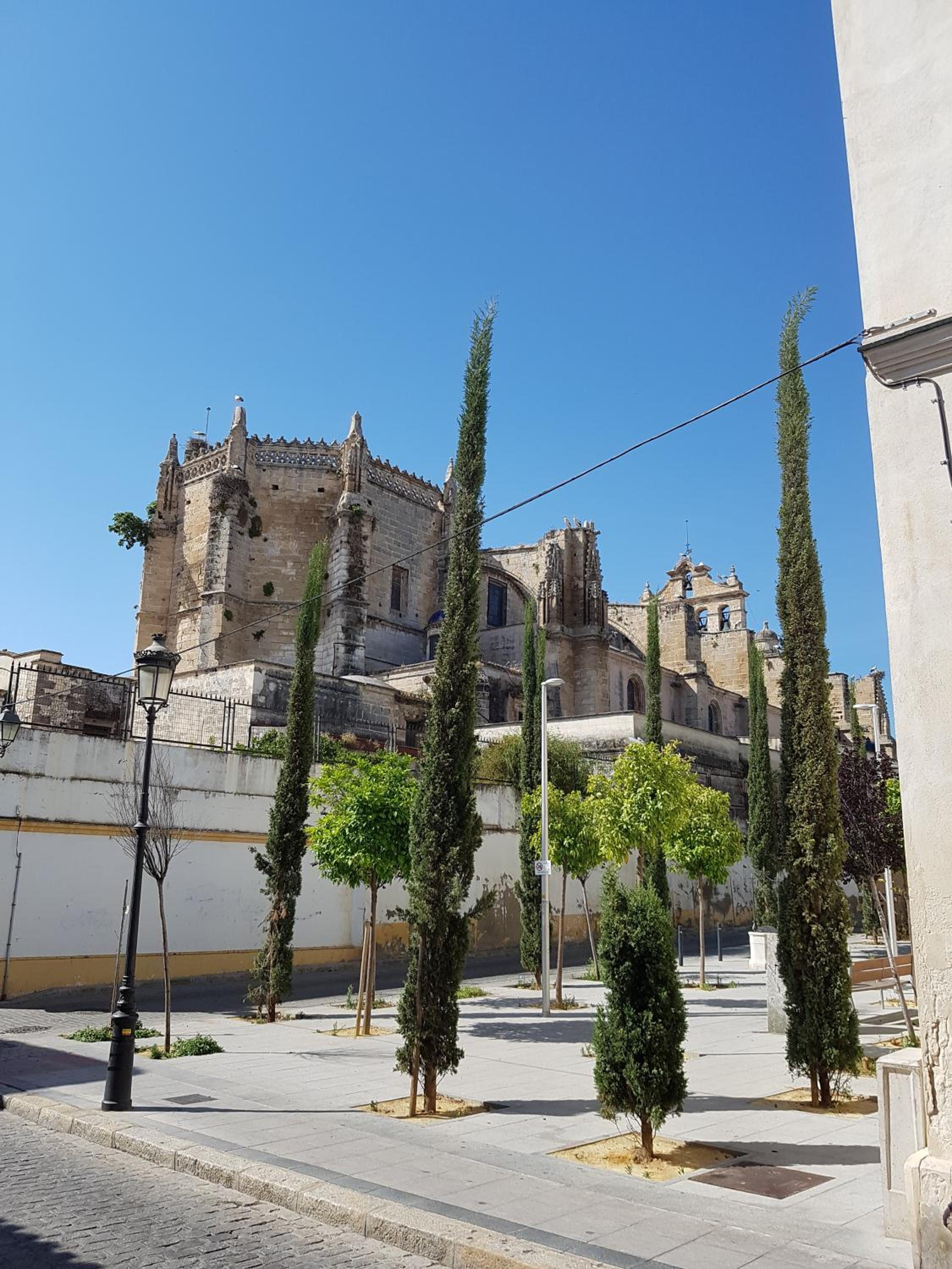 Azvalia - Casa Palacio centro del Puerto view 3