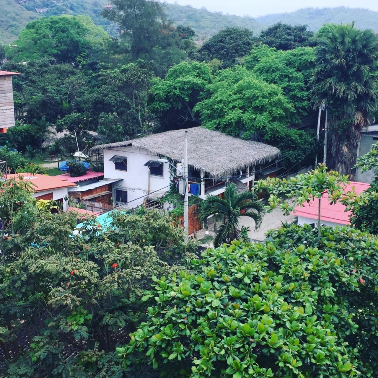 Sapa Inka