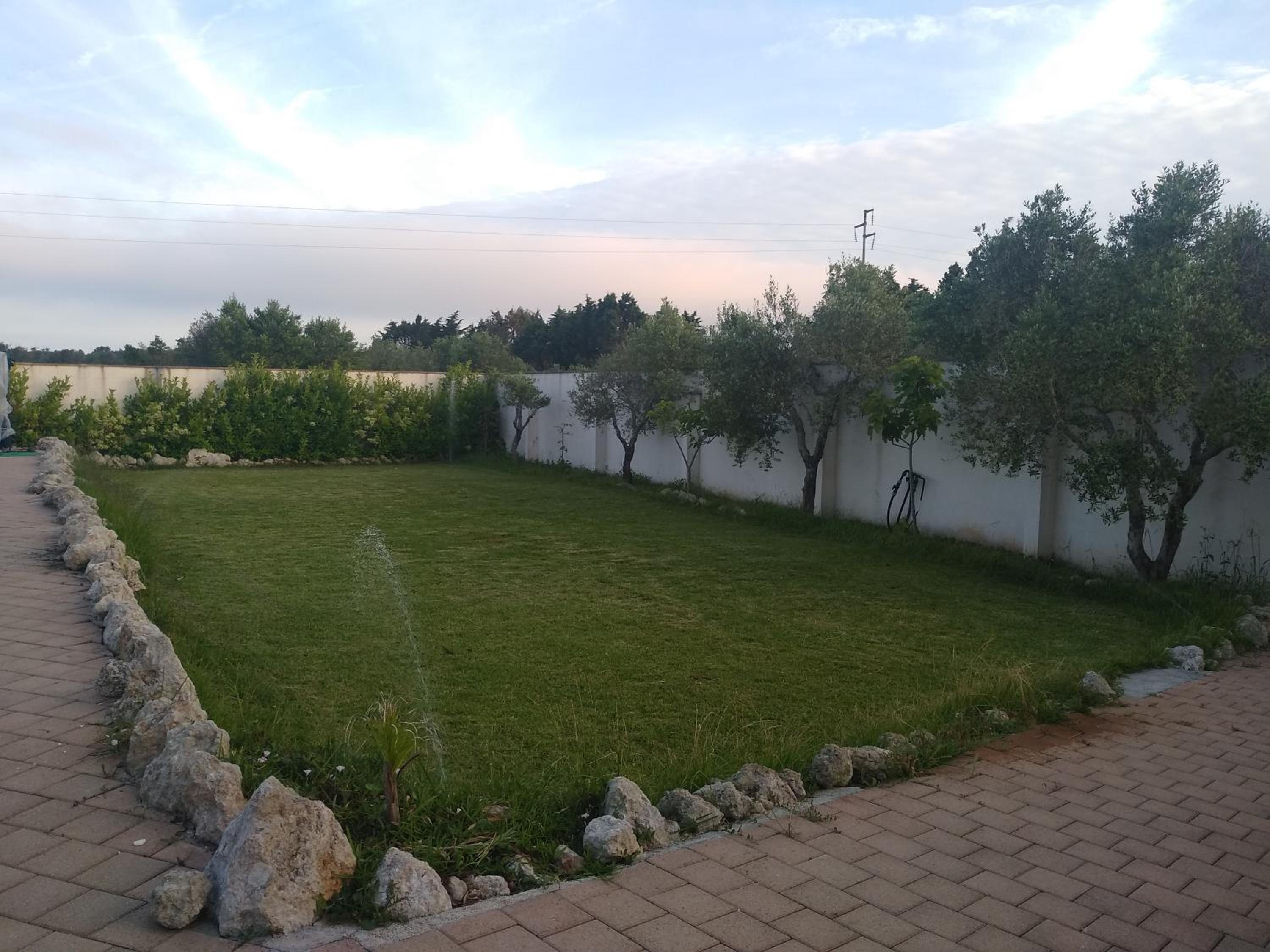 Photo 46