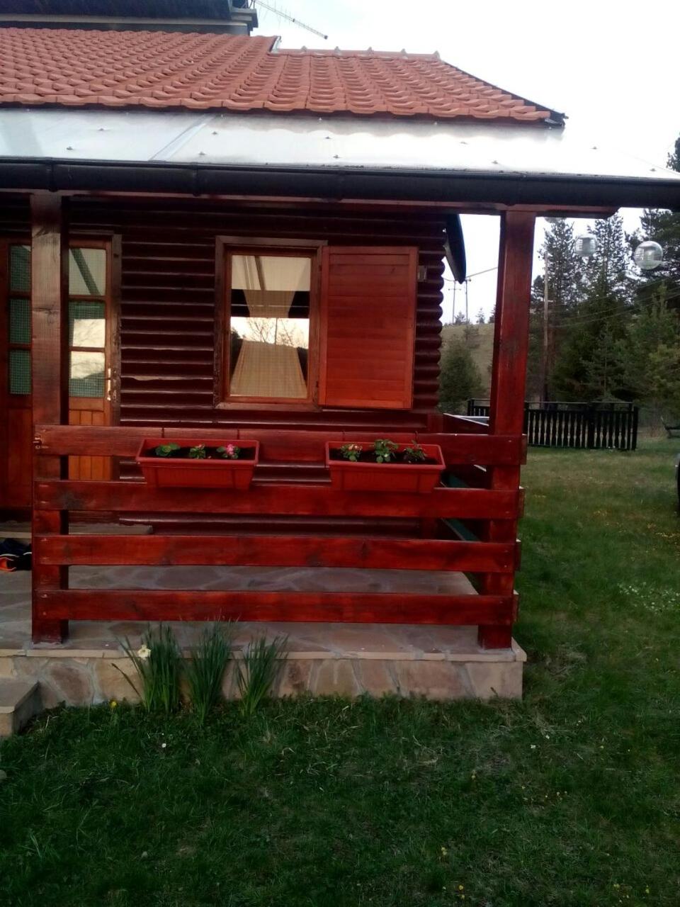 Woodpeckers house