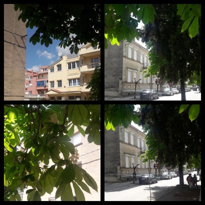 Photo 46