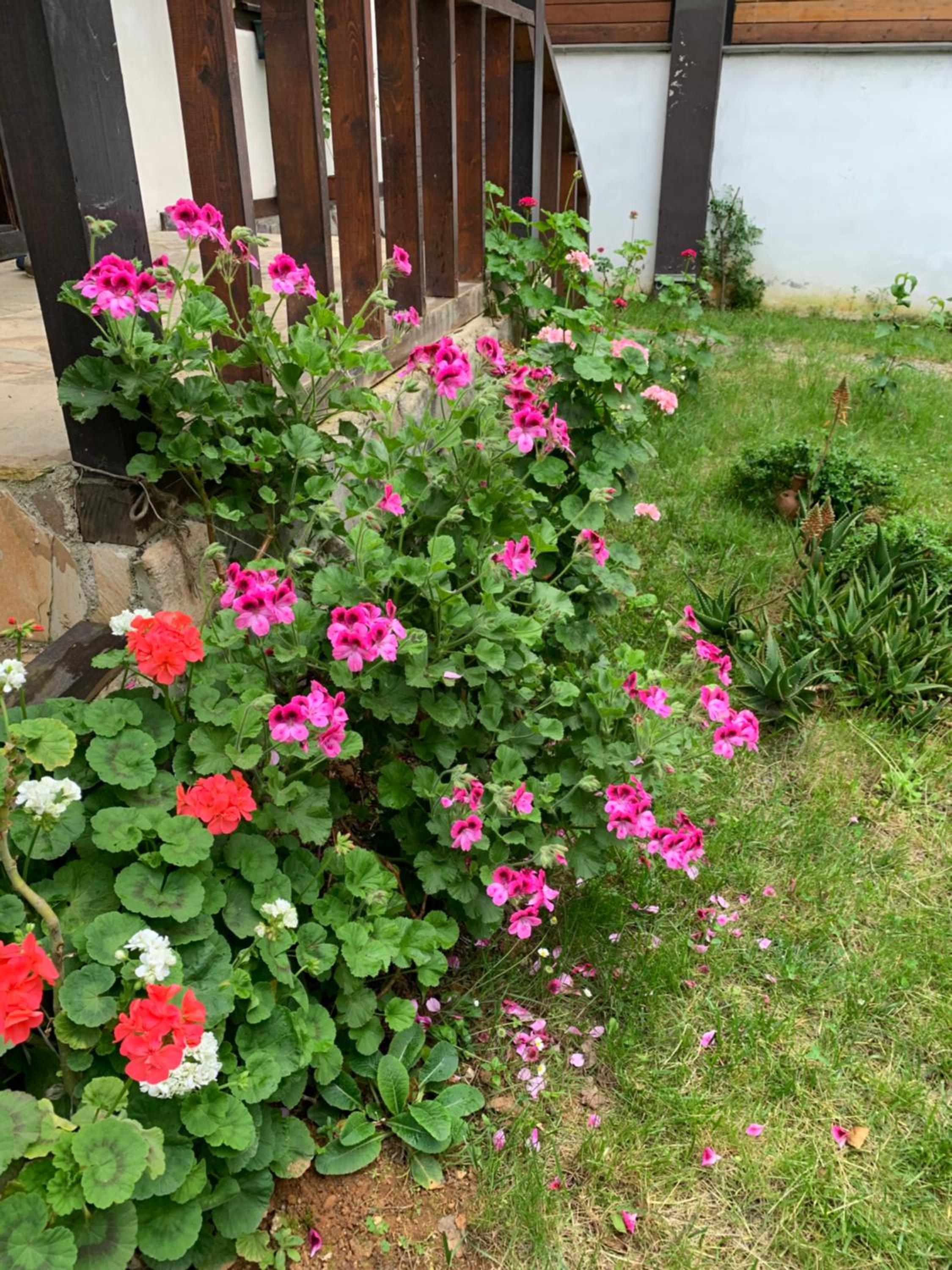 Photo 30