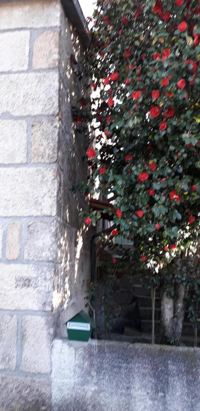 Photo 35