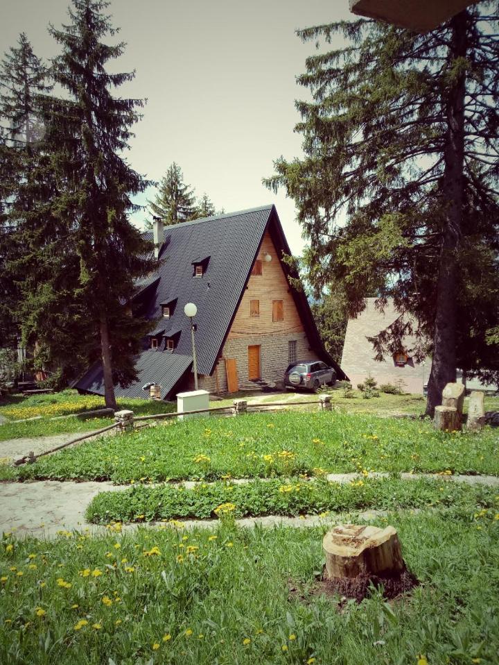 Photo 22