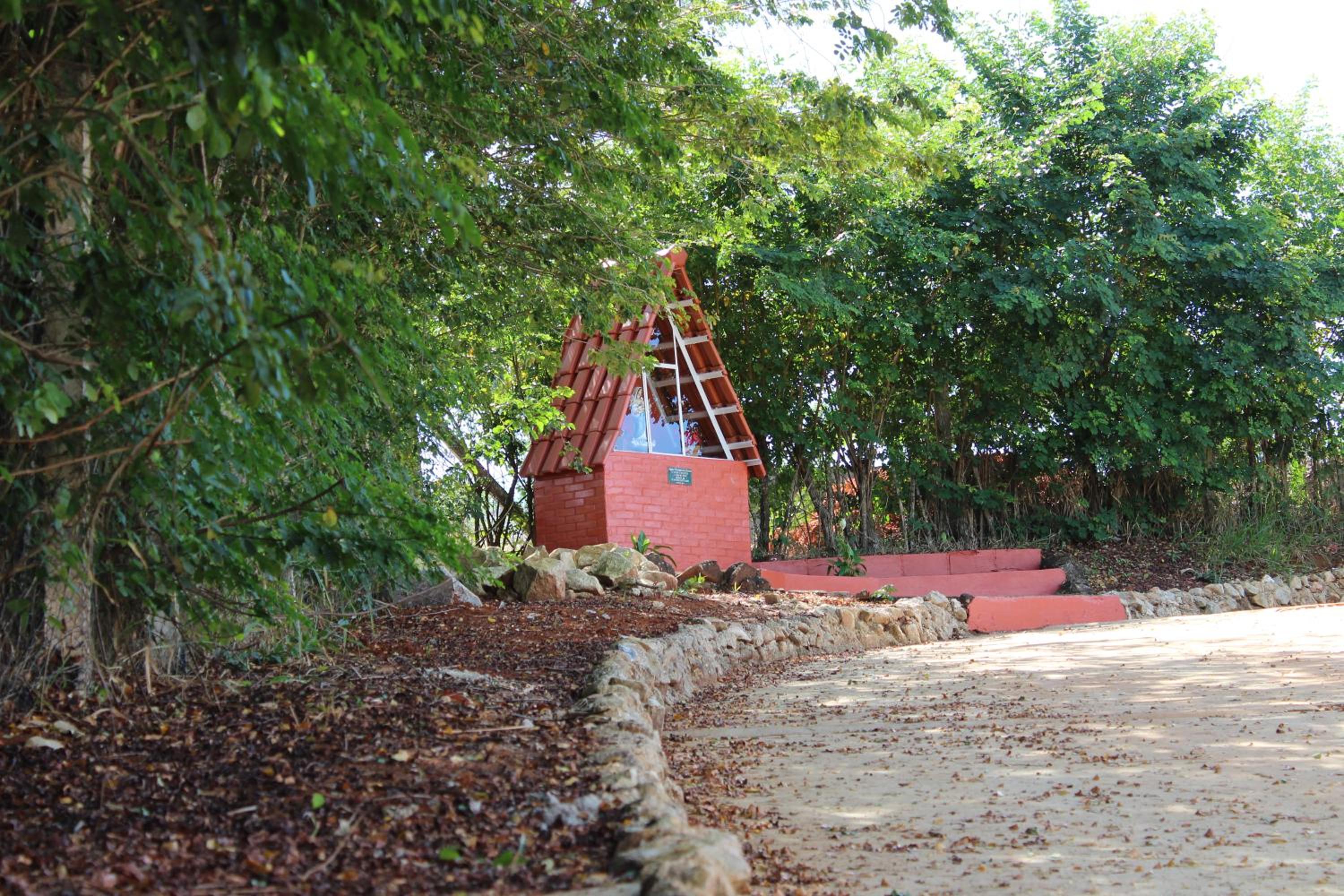 Photo 22