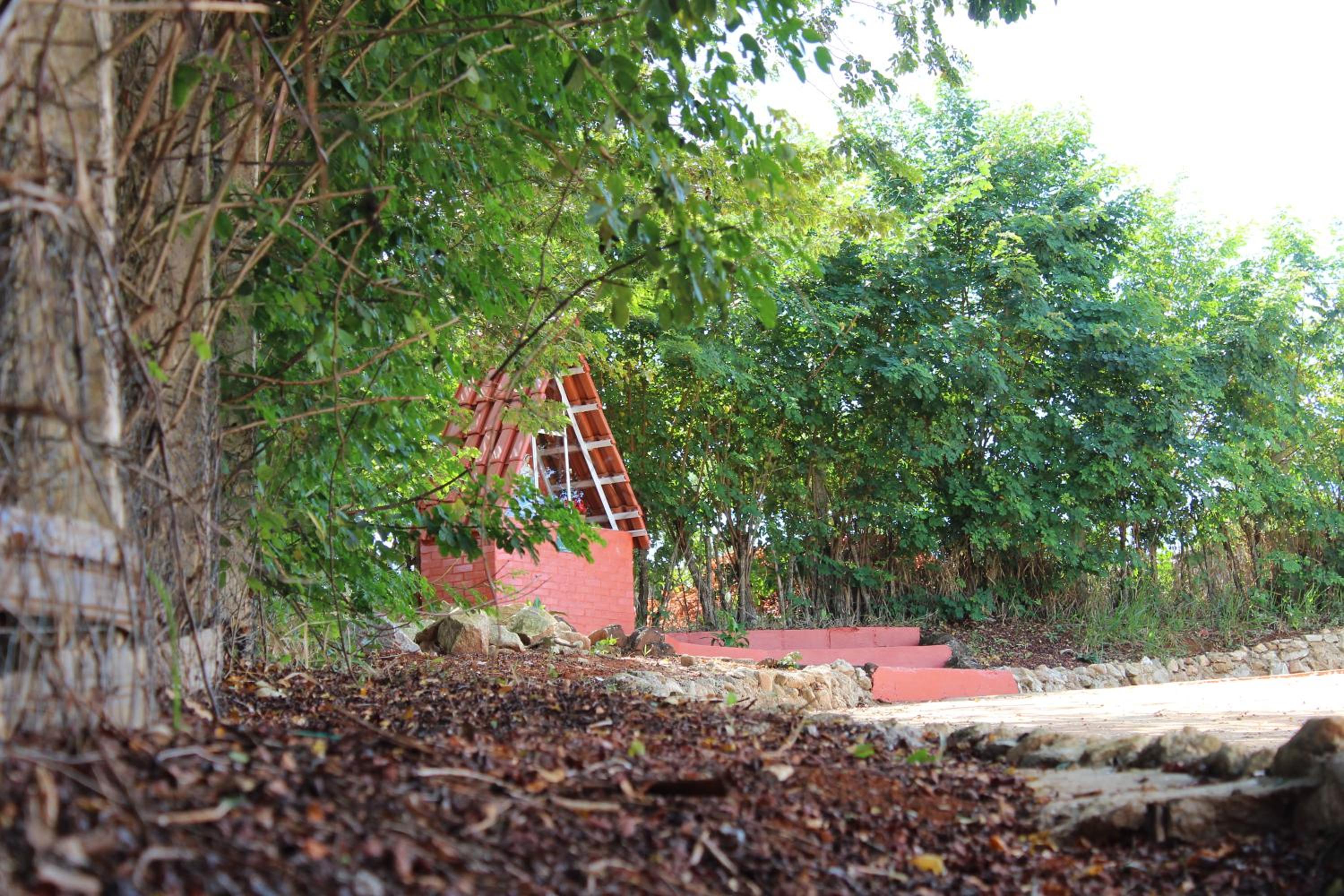 Photo 23