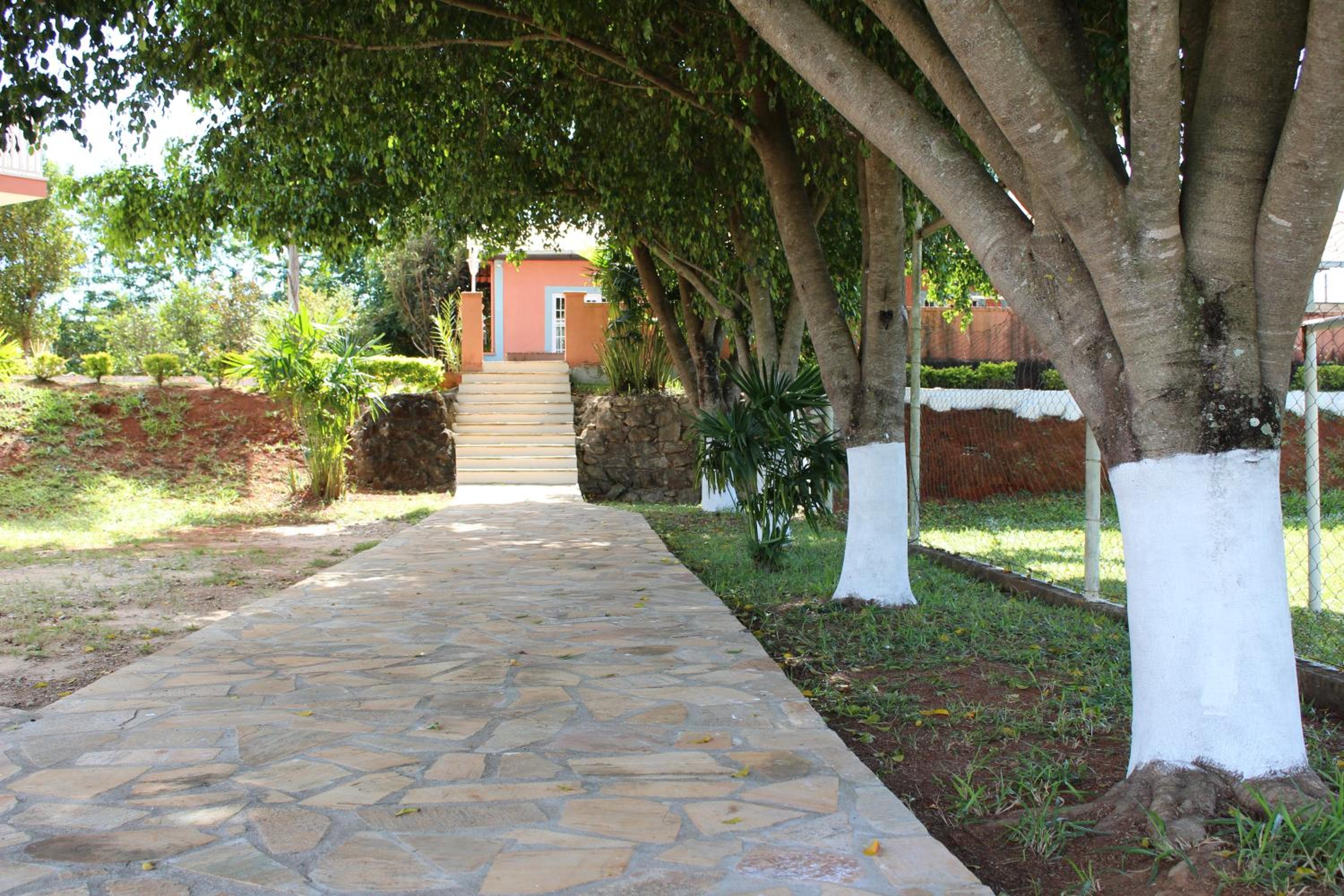 Photo 28