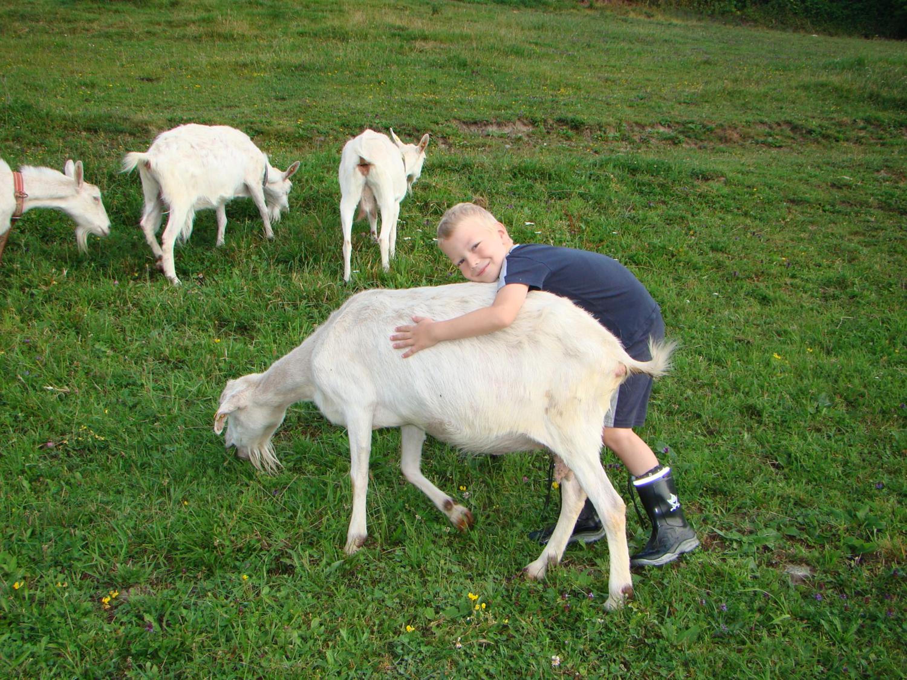 Wabnig- der Logenplatz in der Natur