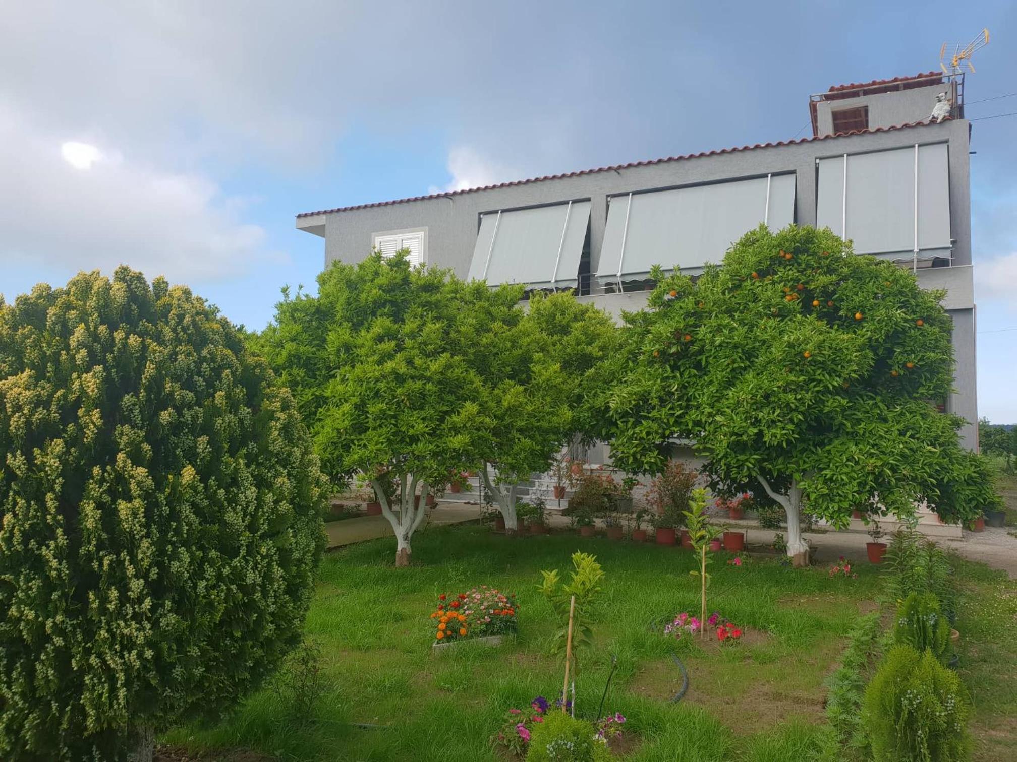 Guesthouse Anila