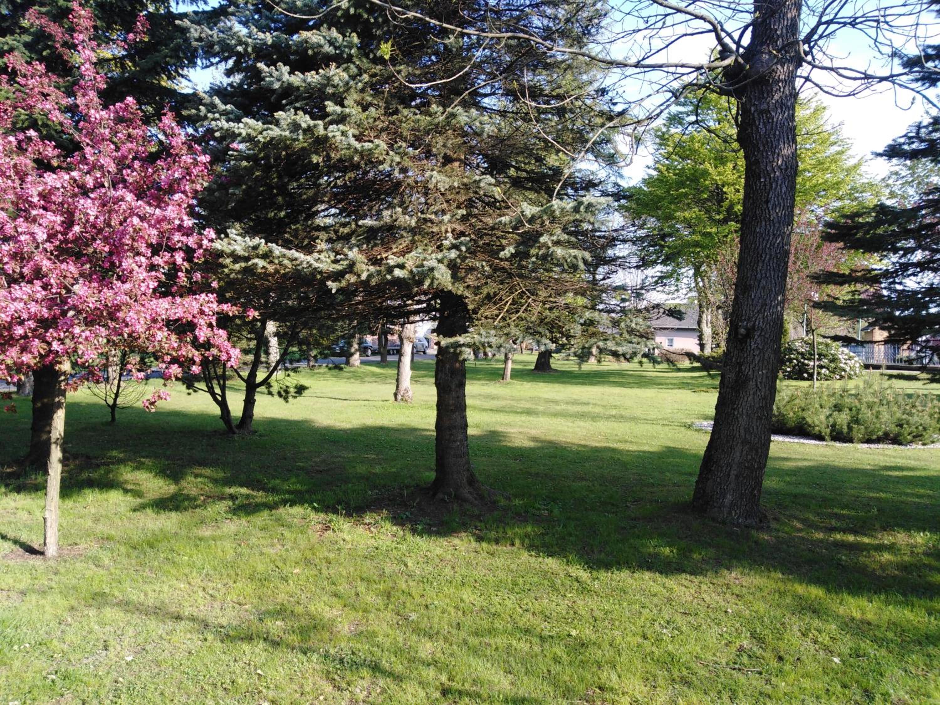 Penzion U Soudu