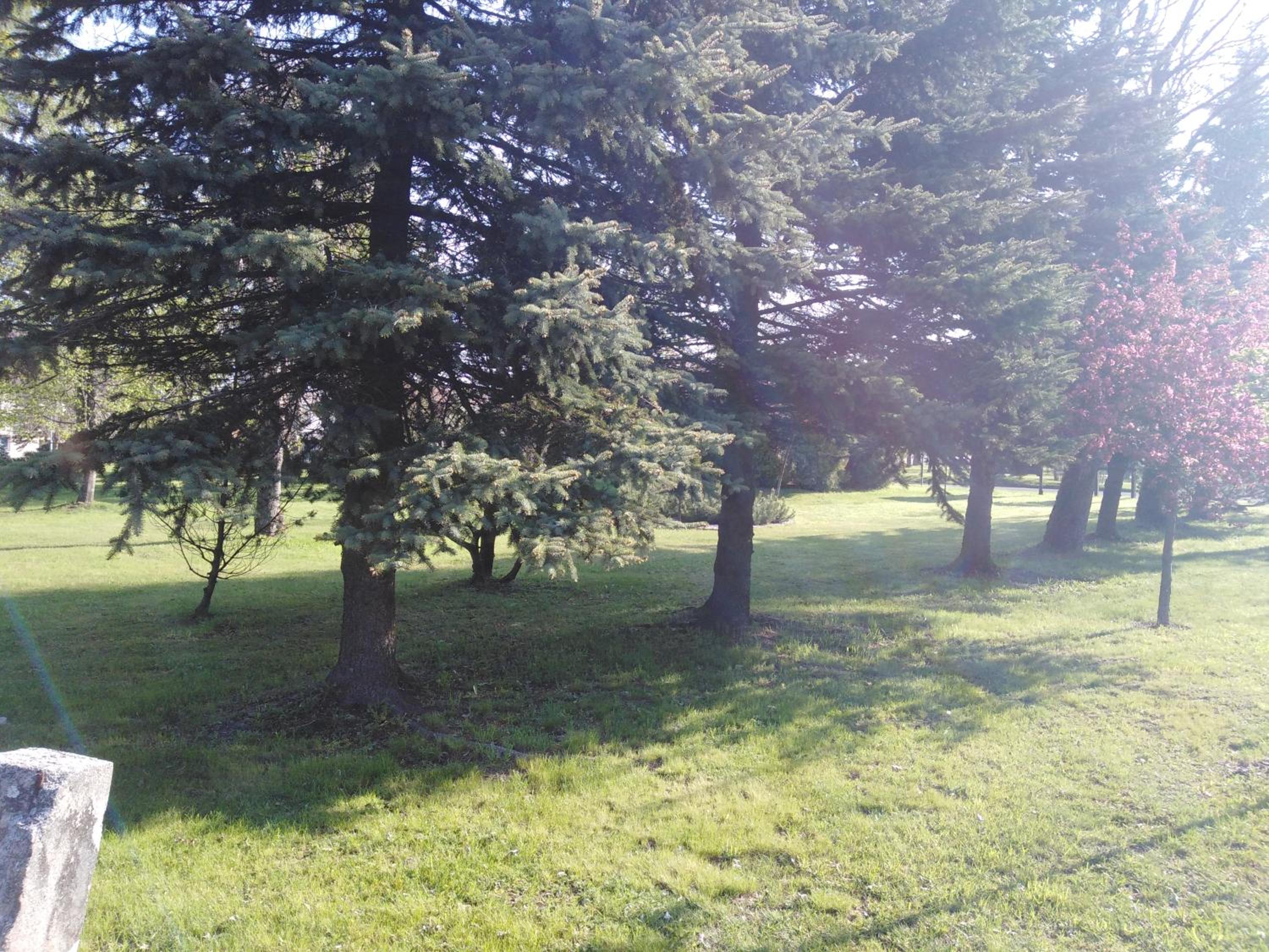 Penzion U Soudu