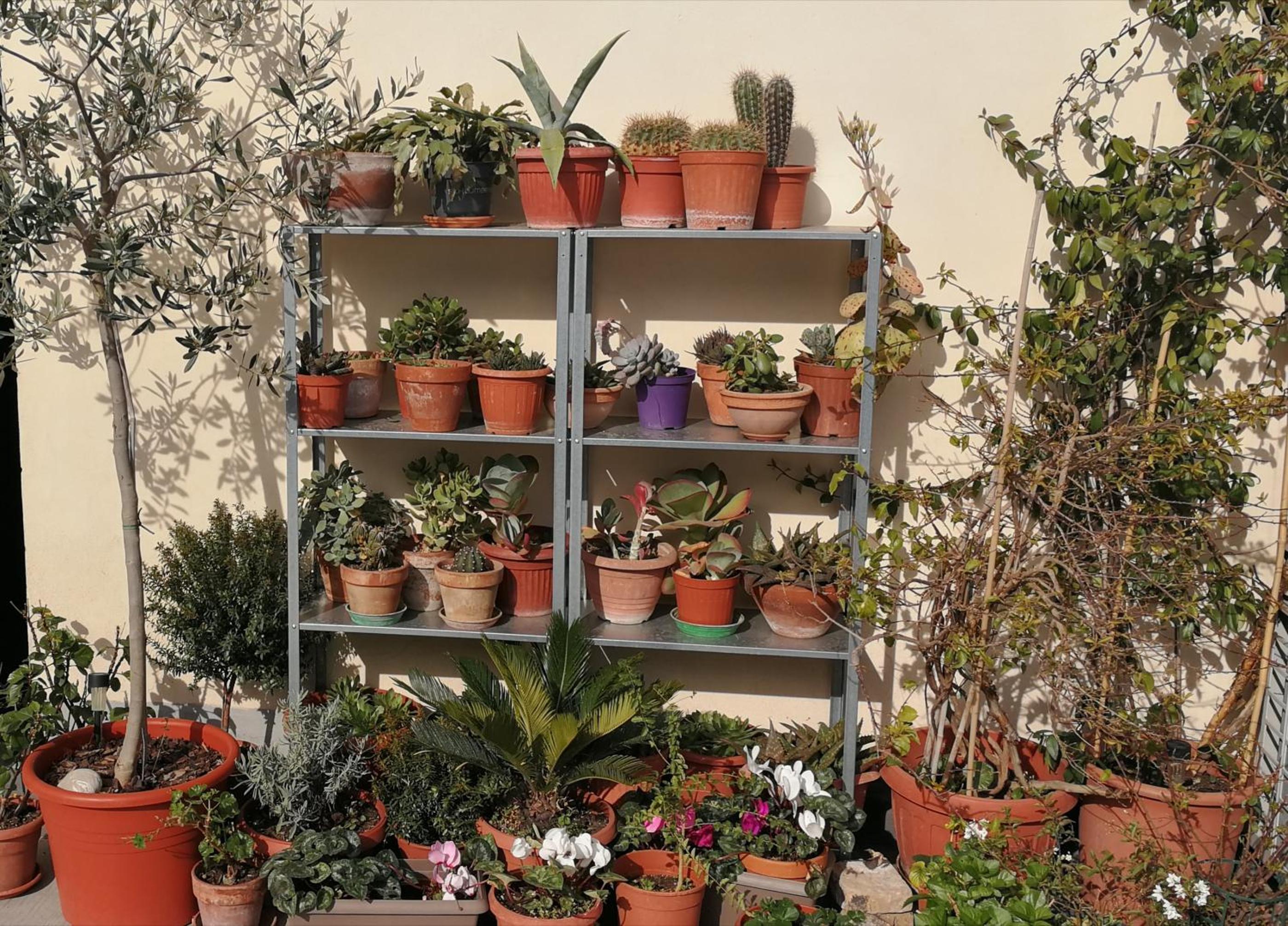 Casa di Ele