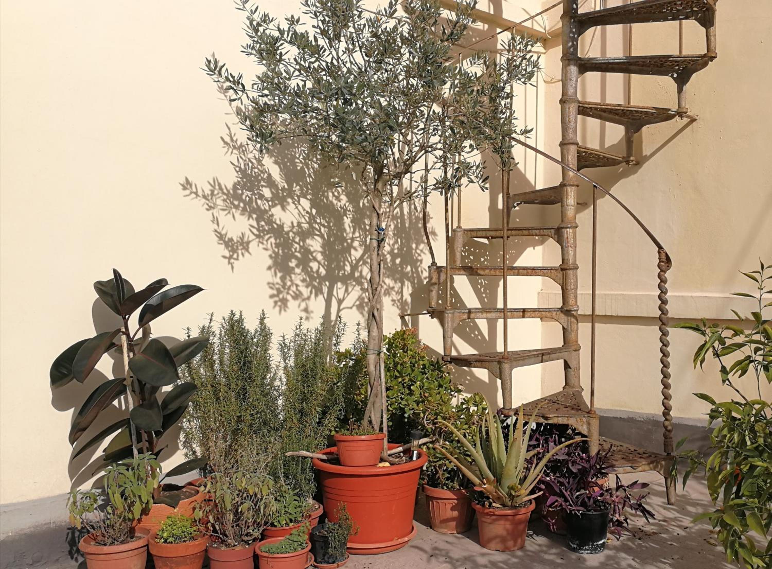 Casa di Ele