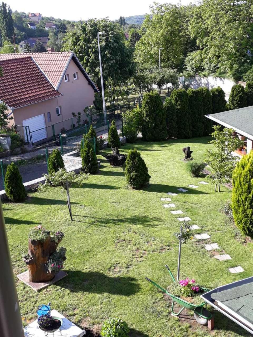Photo 12