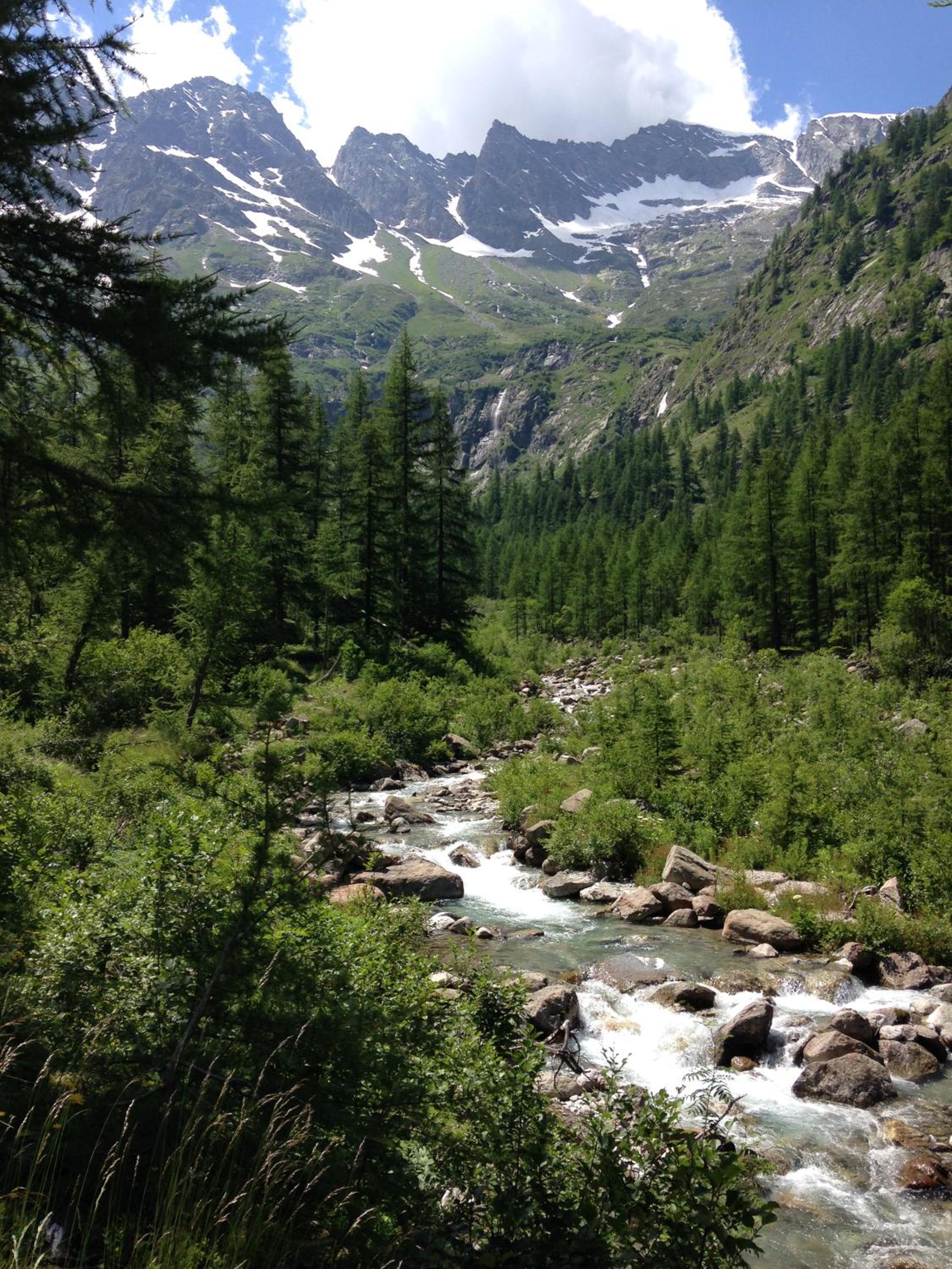 Chalet del frassino view 4