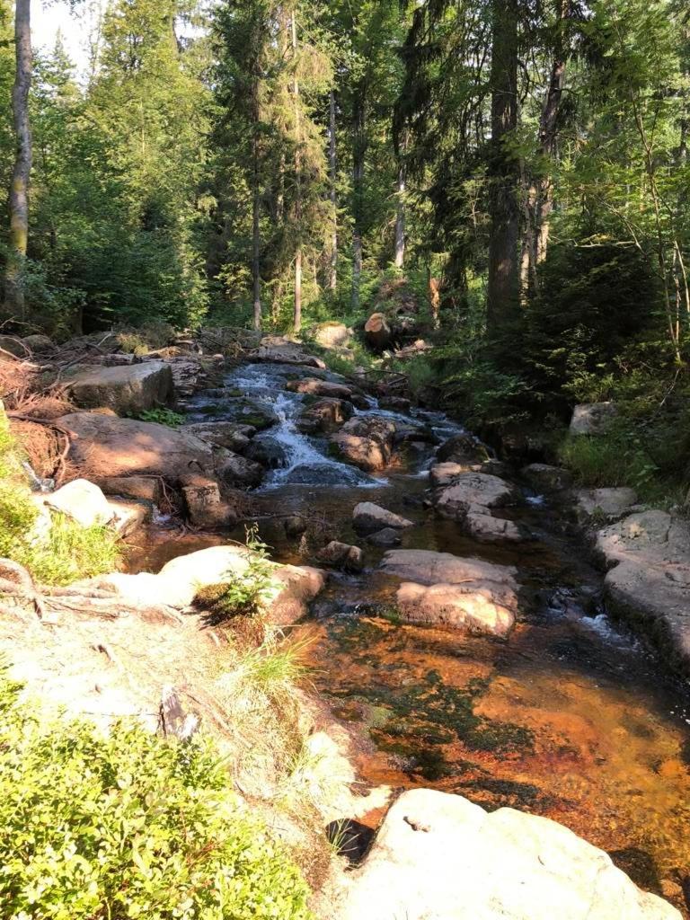 Wurmberg Baude 1 view 5