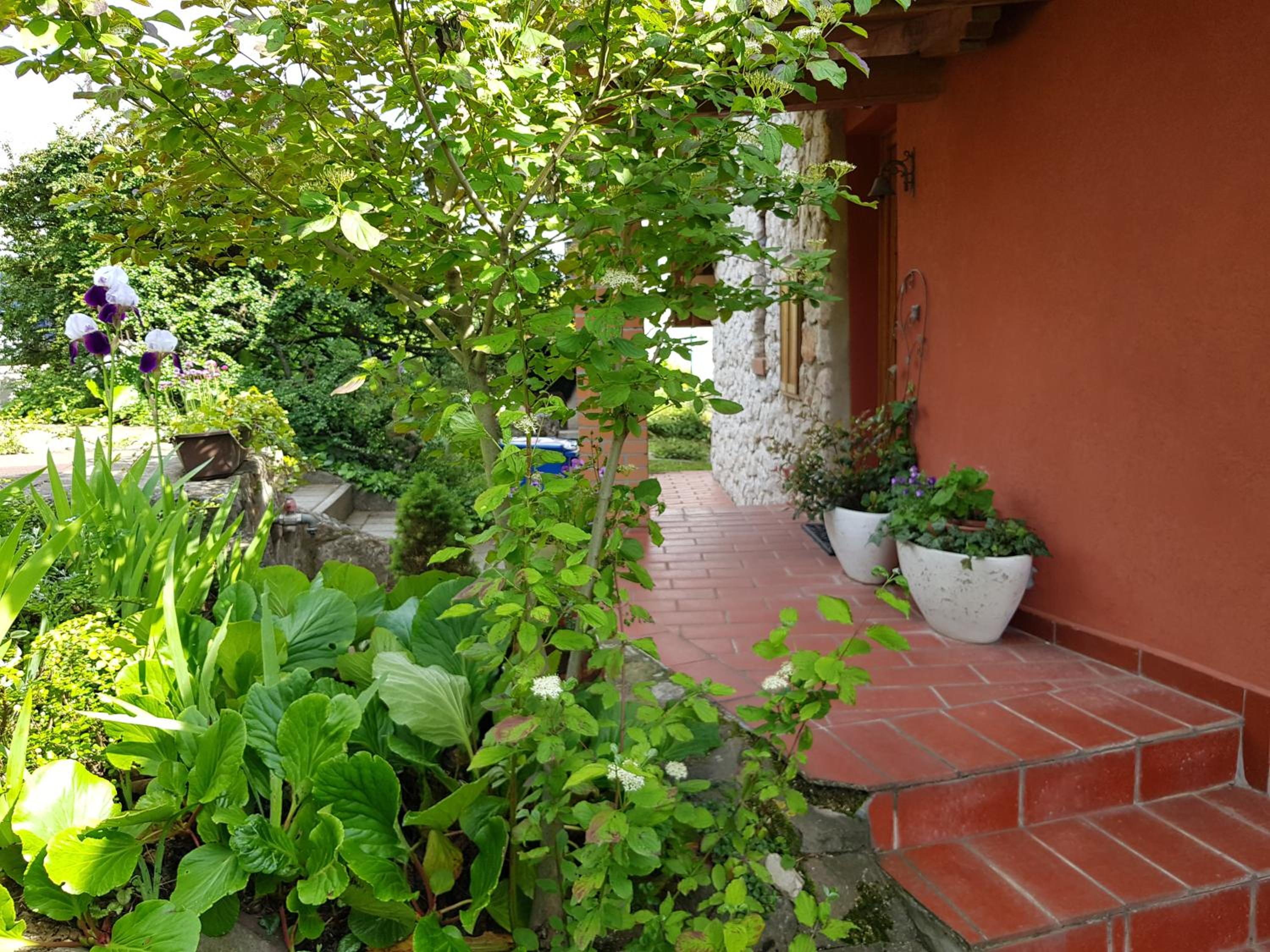 Photo 34