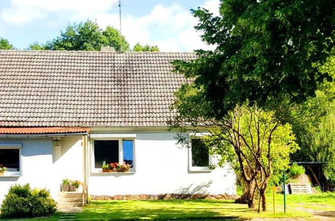 Mühle Tornow am Wentowsee