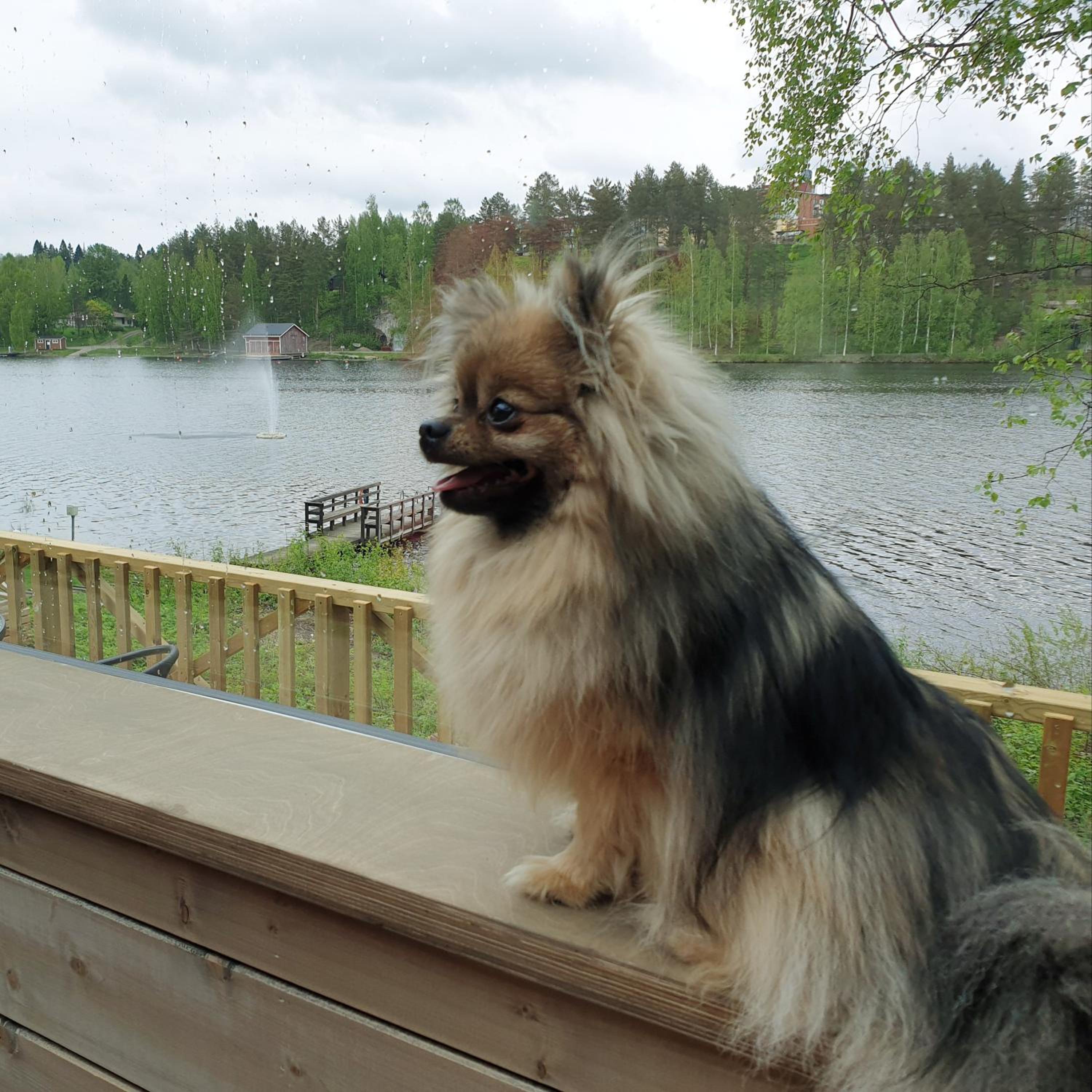 Mansikkaharju Holiday Camp