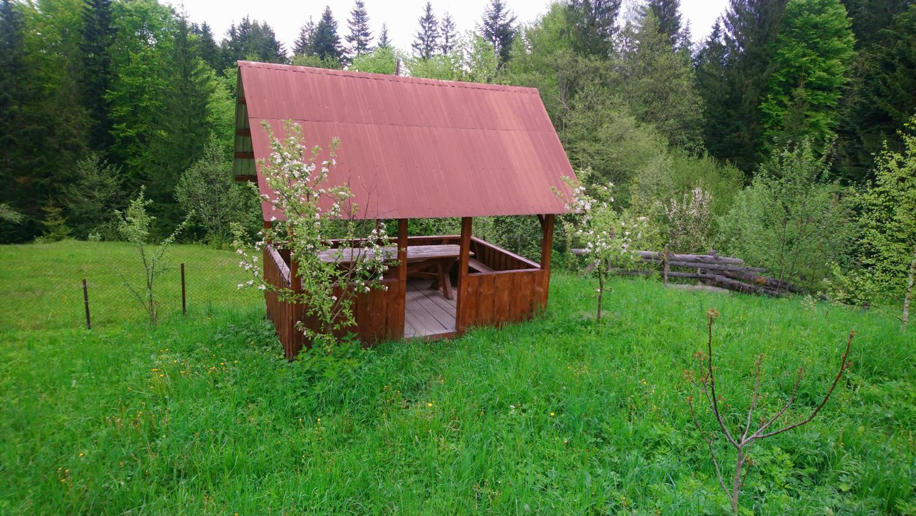 Photo 15