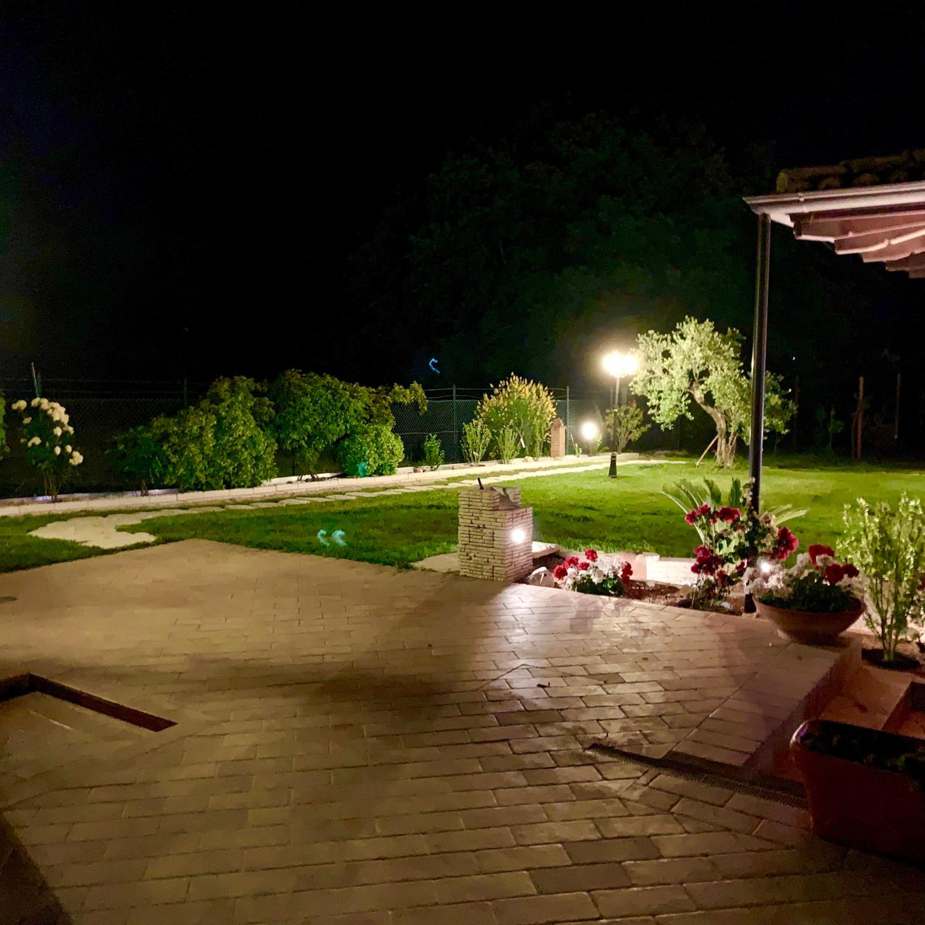 Photo 46