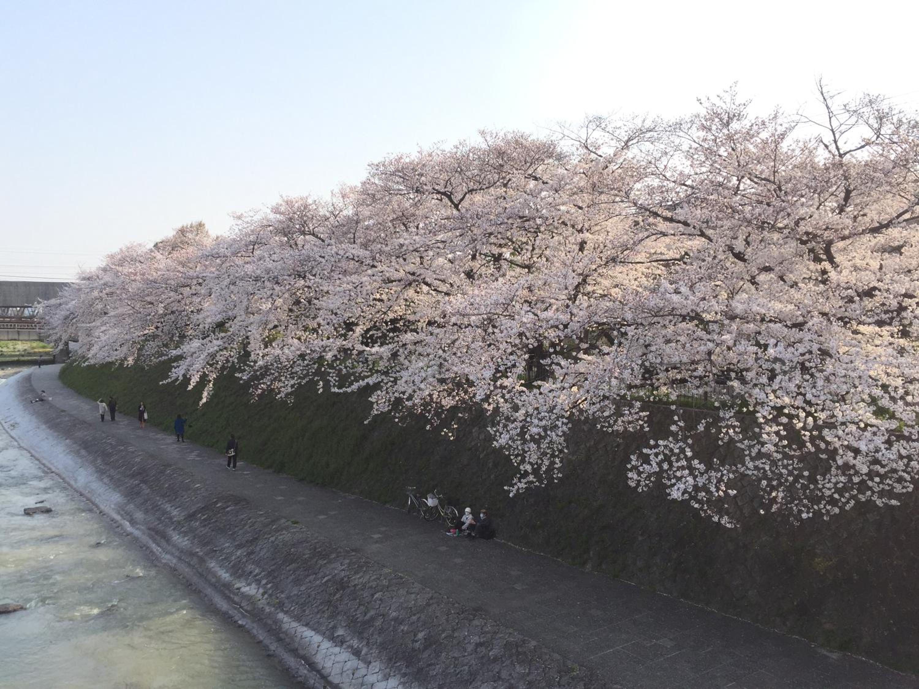 Kyo-Anthu Inn, Kyoto - 21