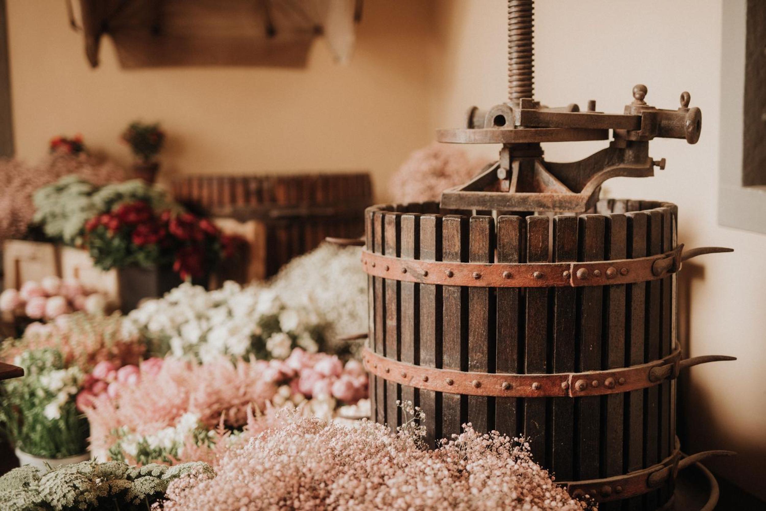 Tenuta Torre Rossa Farm & Apartments