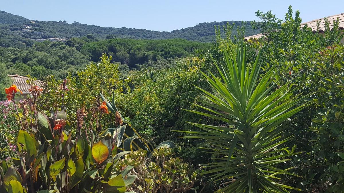Villa Les hauts de Benista view 5
