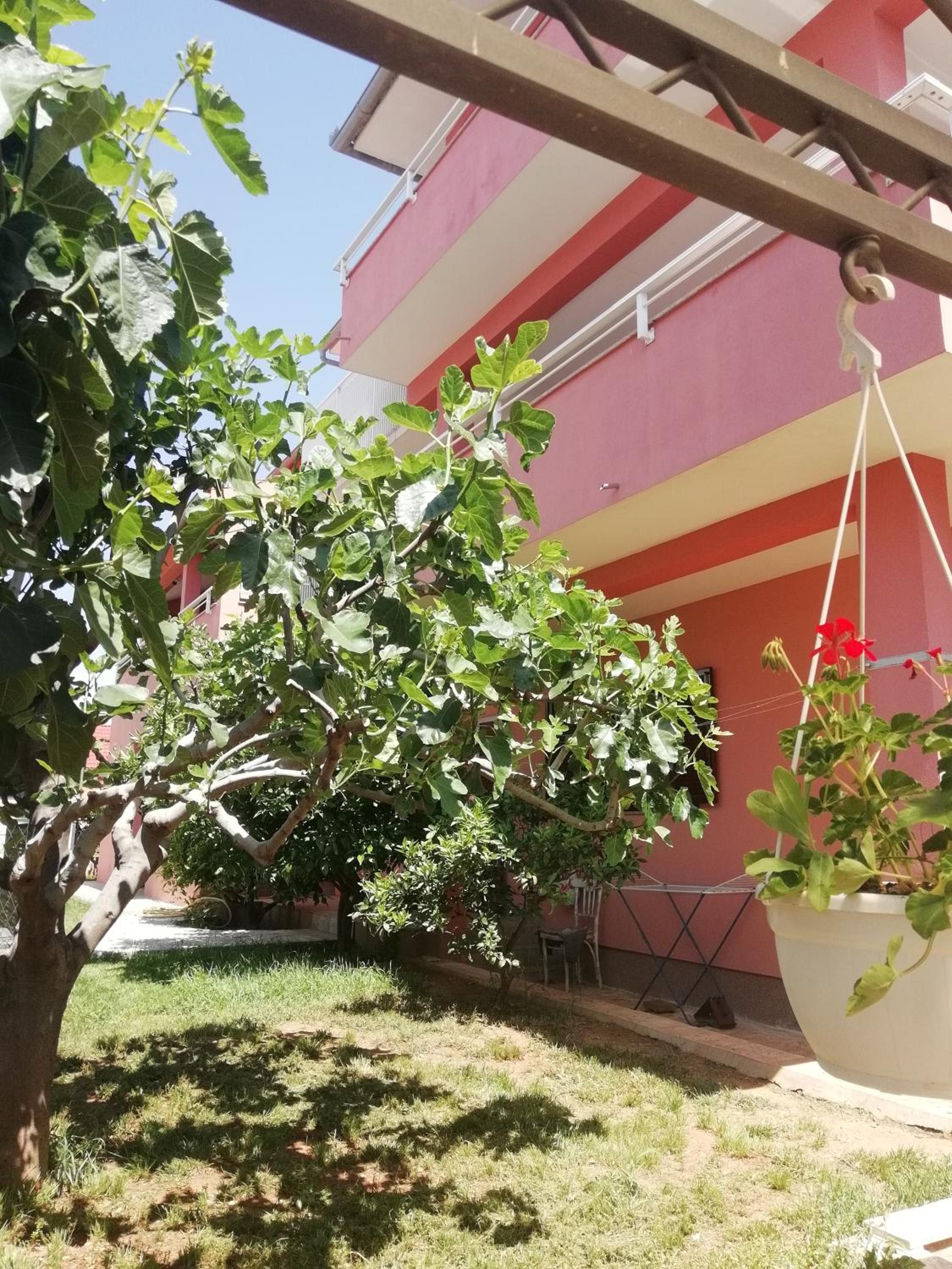 Apartments Marija