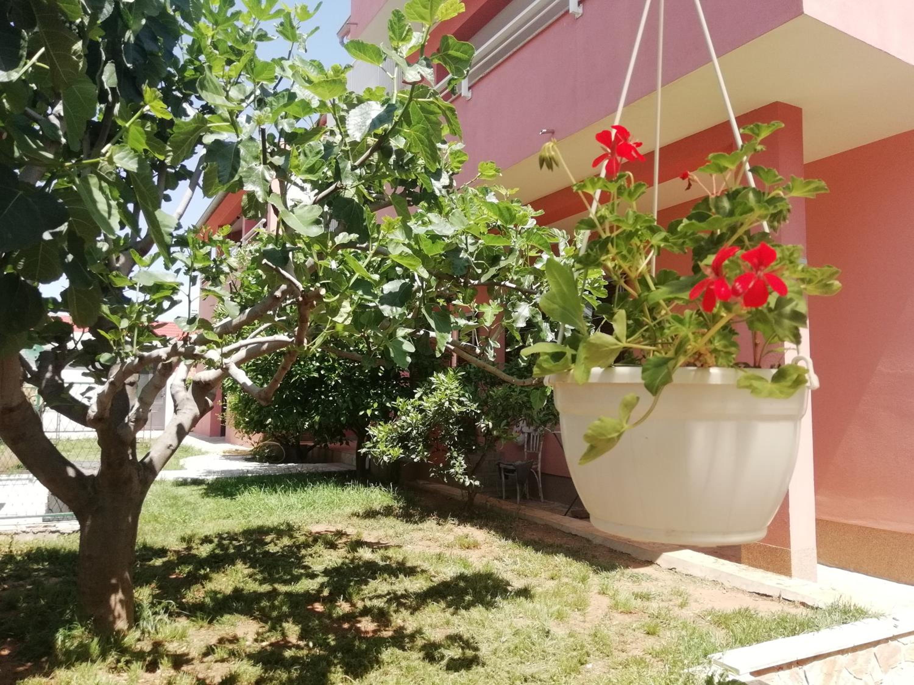 Apartments Marija