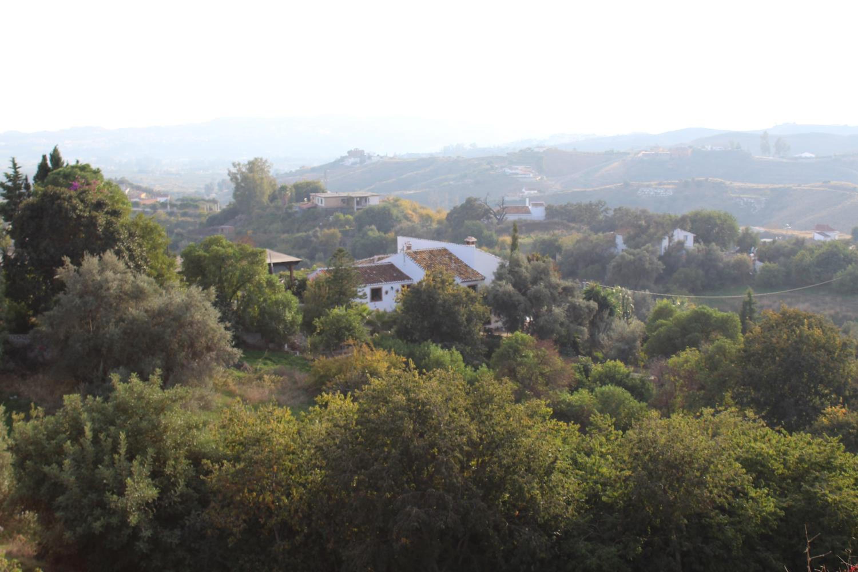 Photo 35