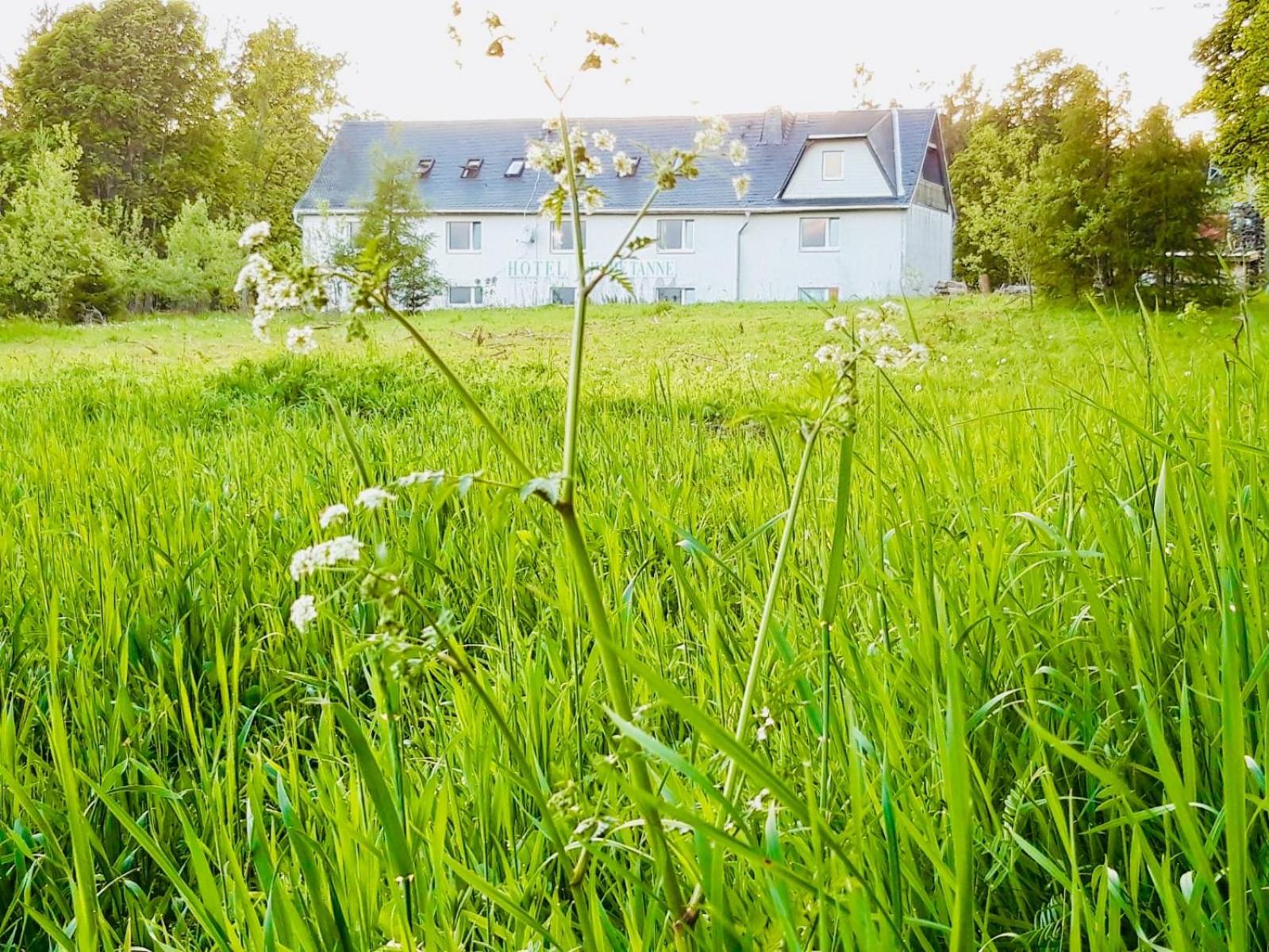 Gästehaus hohetanne1
