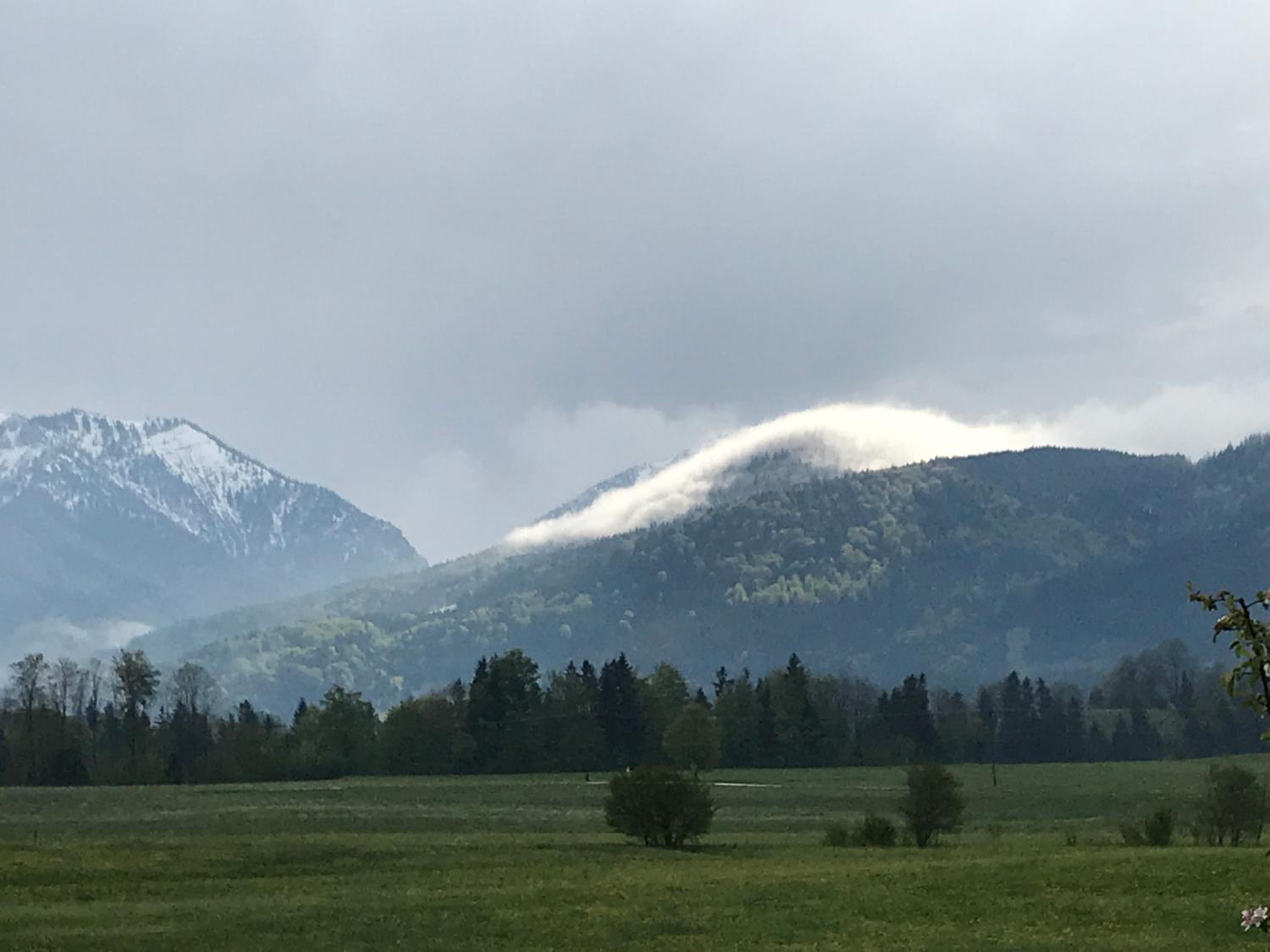 Pure Nature Munich - Alps