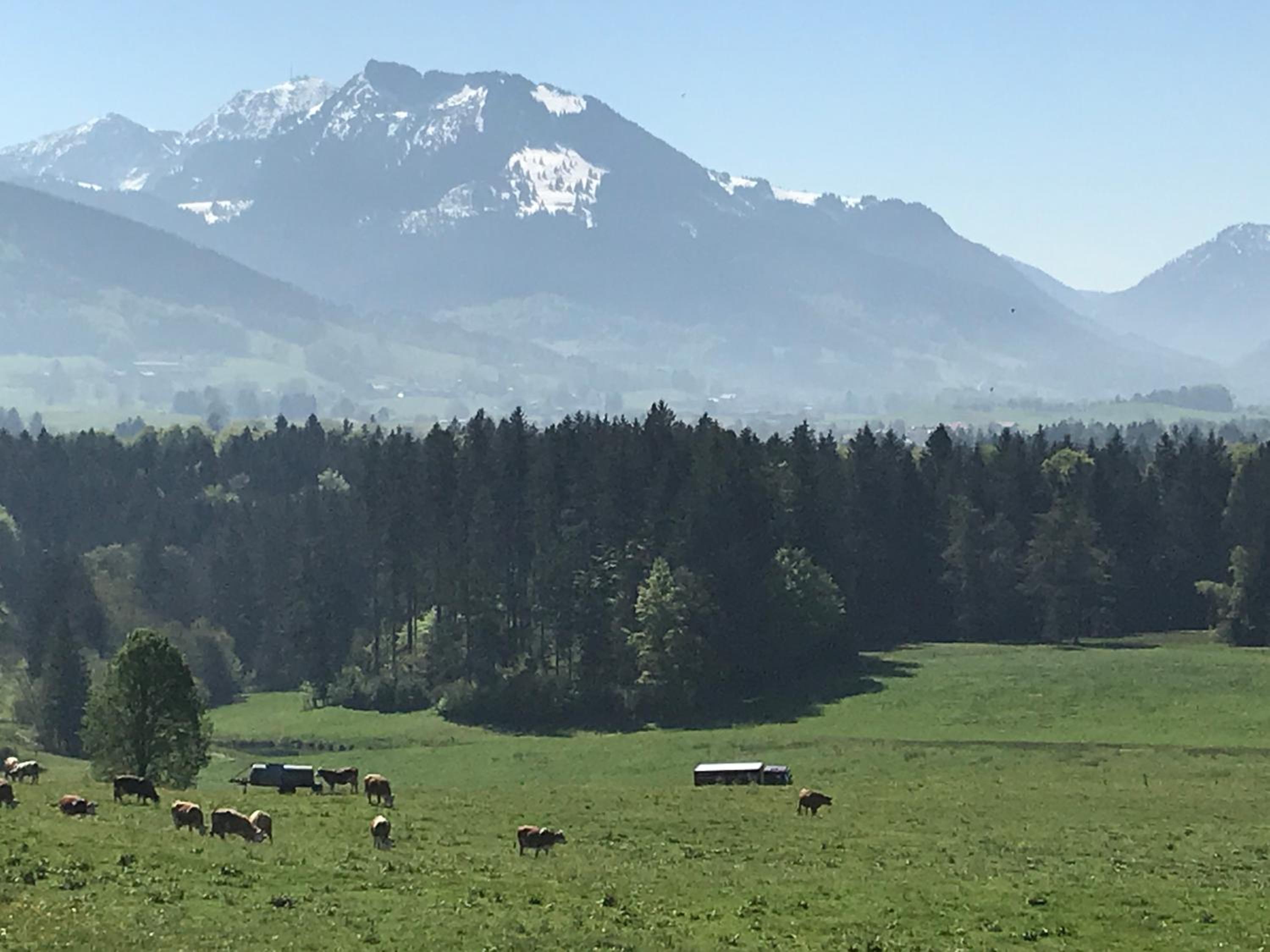 Pure Nature Munich - Alps