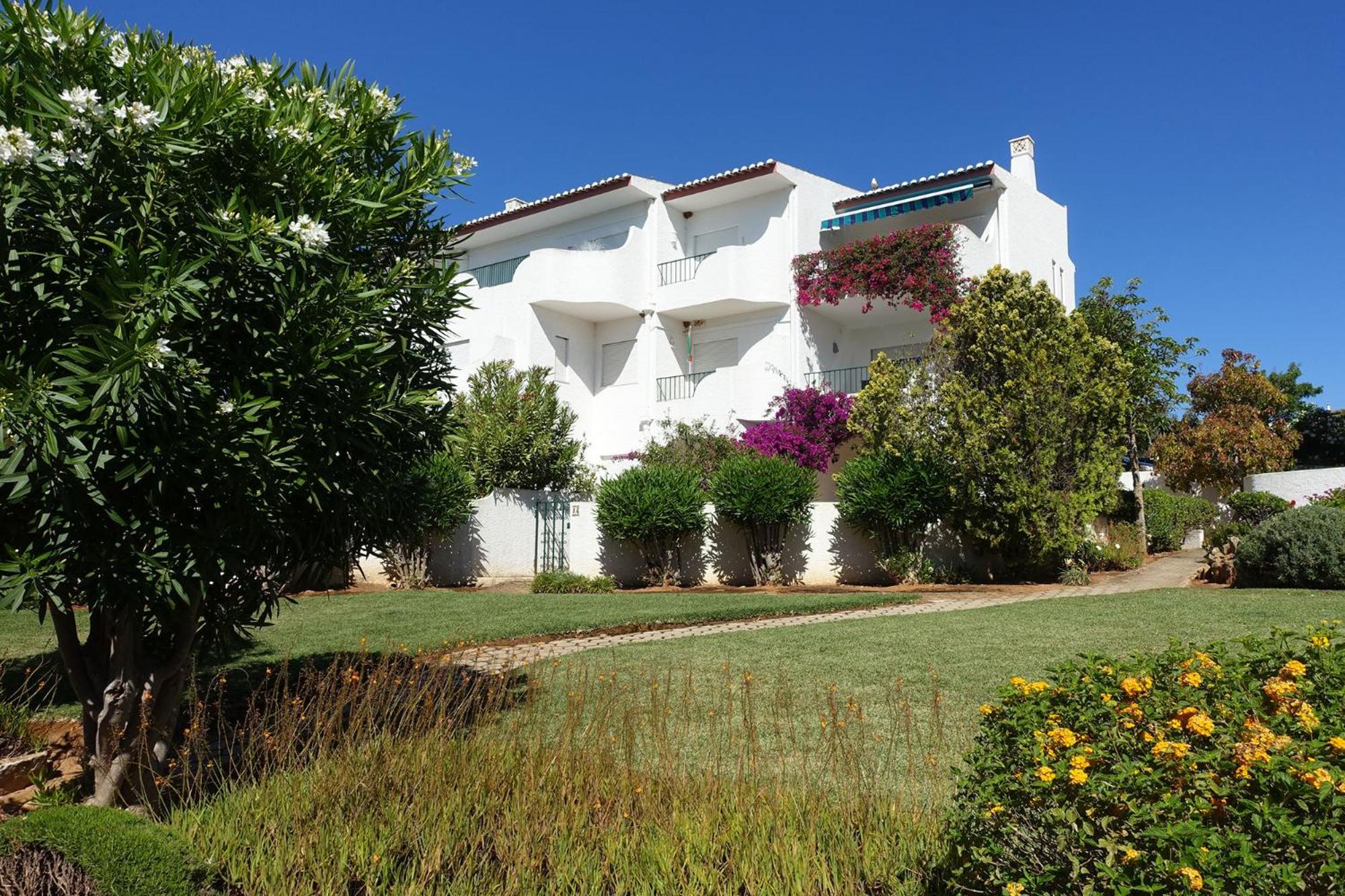 Buganvilia Praia da Luz
