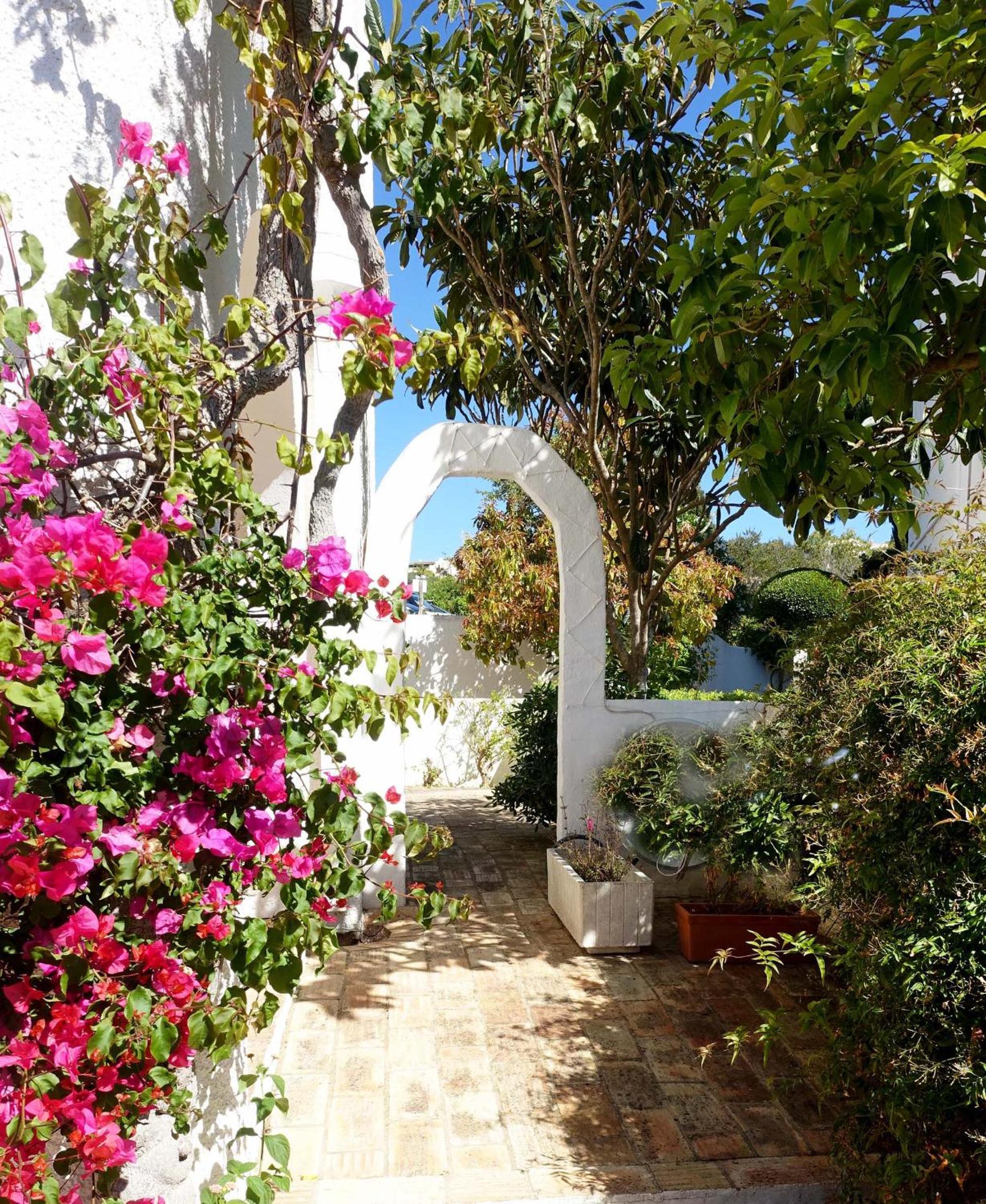 Buganvilia Praia da Luz