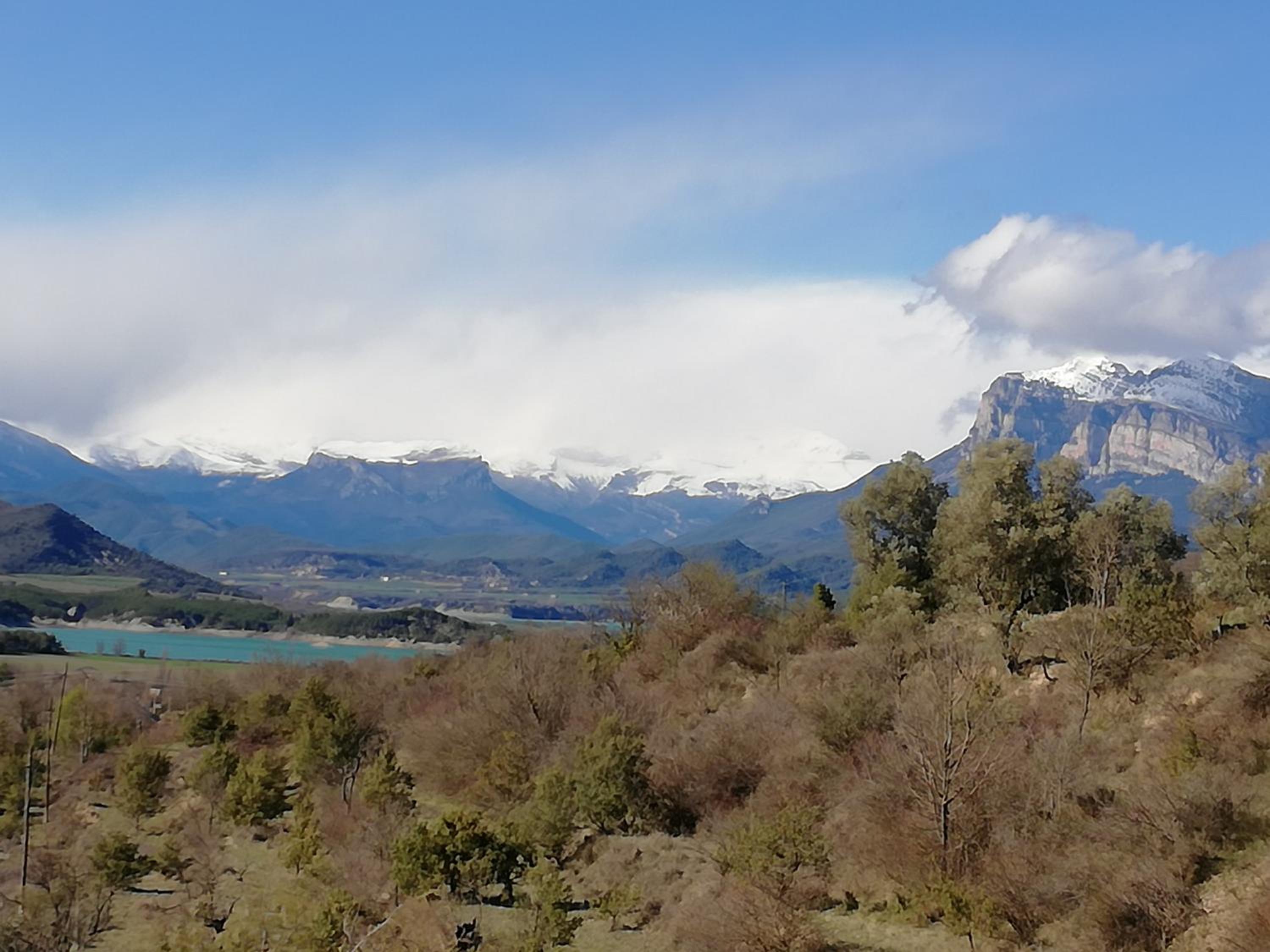 Photo 55