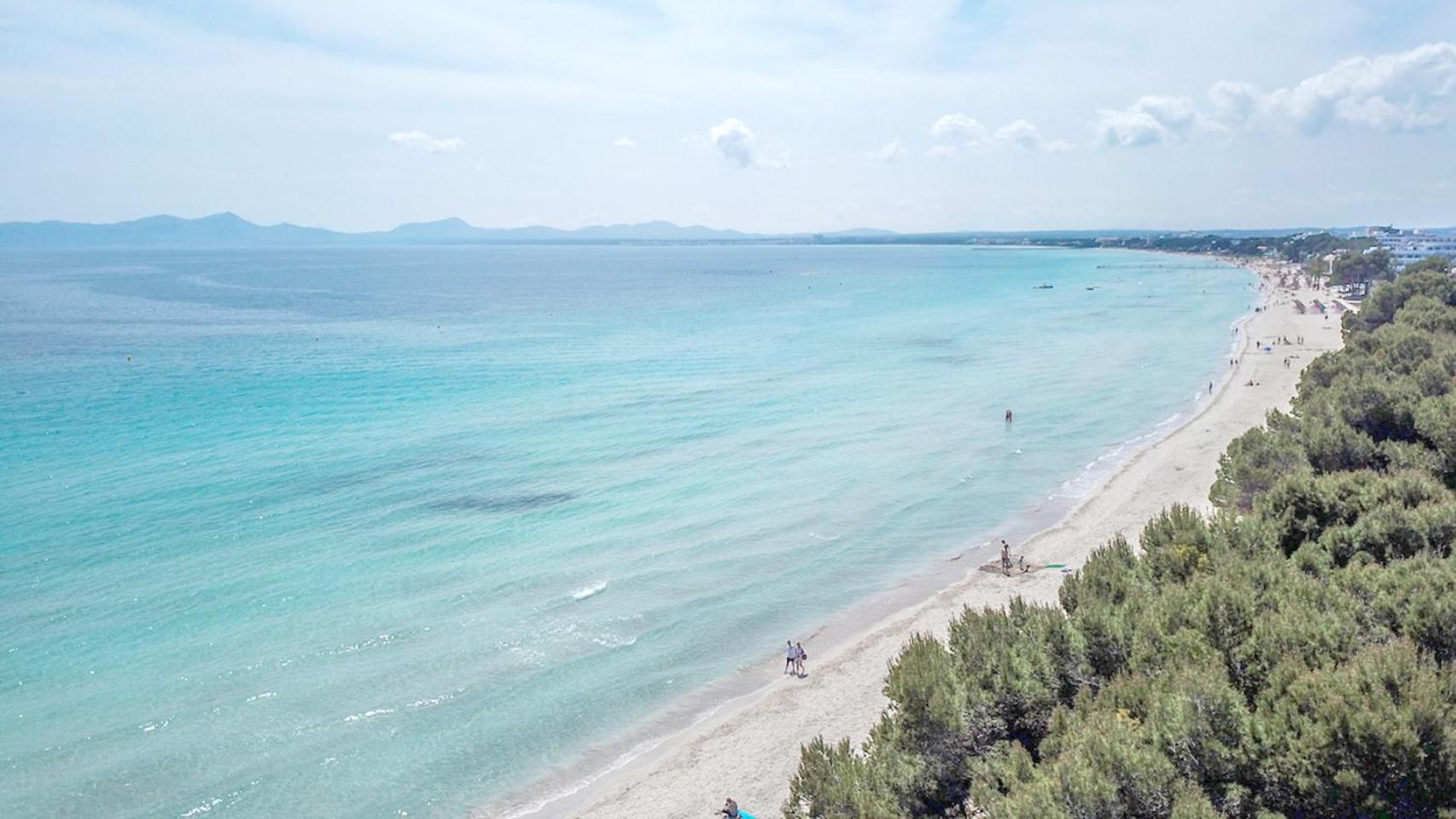ACACIAS view 2